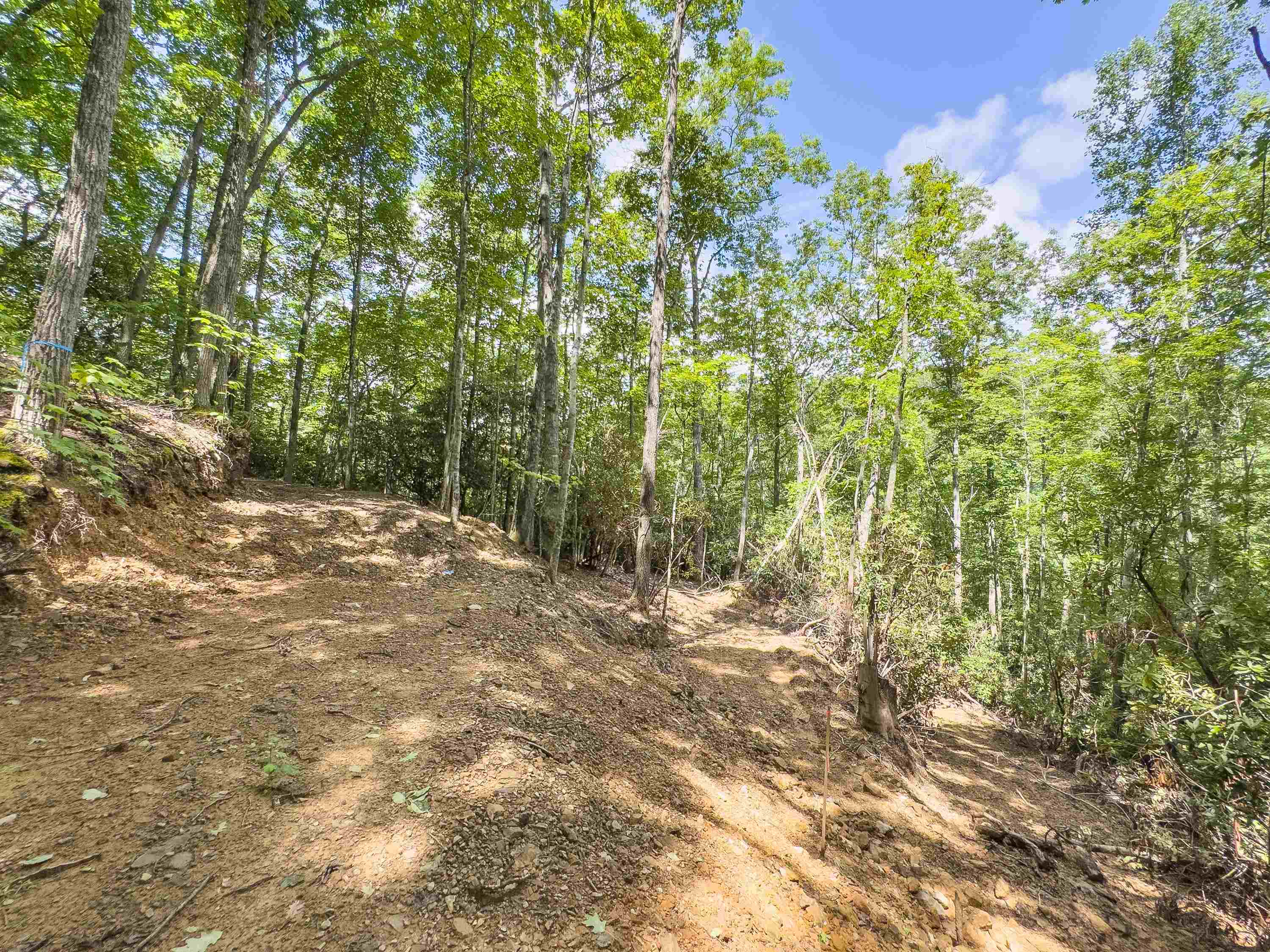 102 Mossy Oak Lane Bland VA 24315
