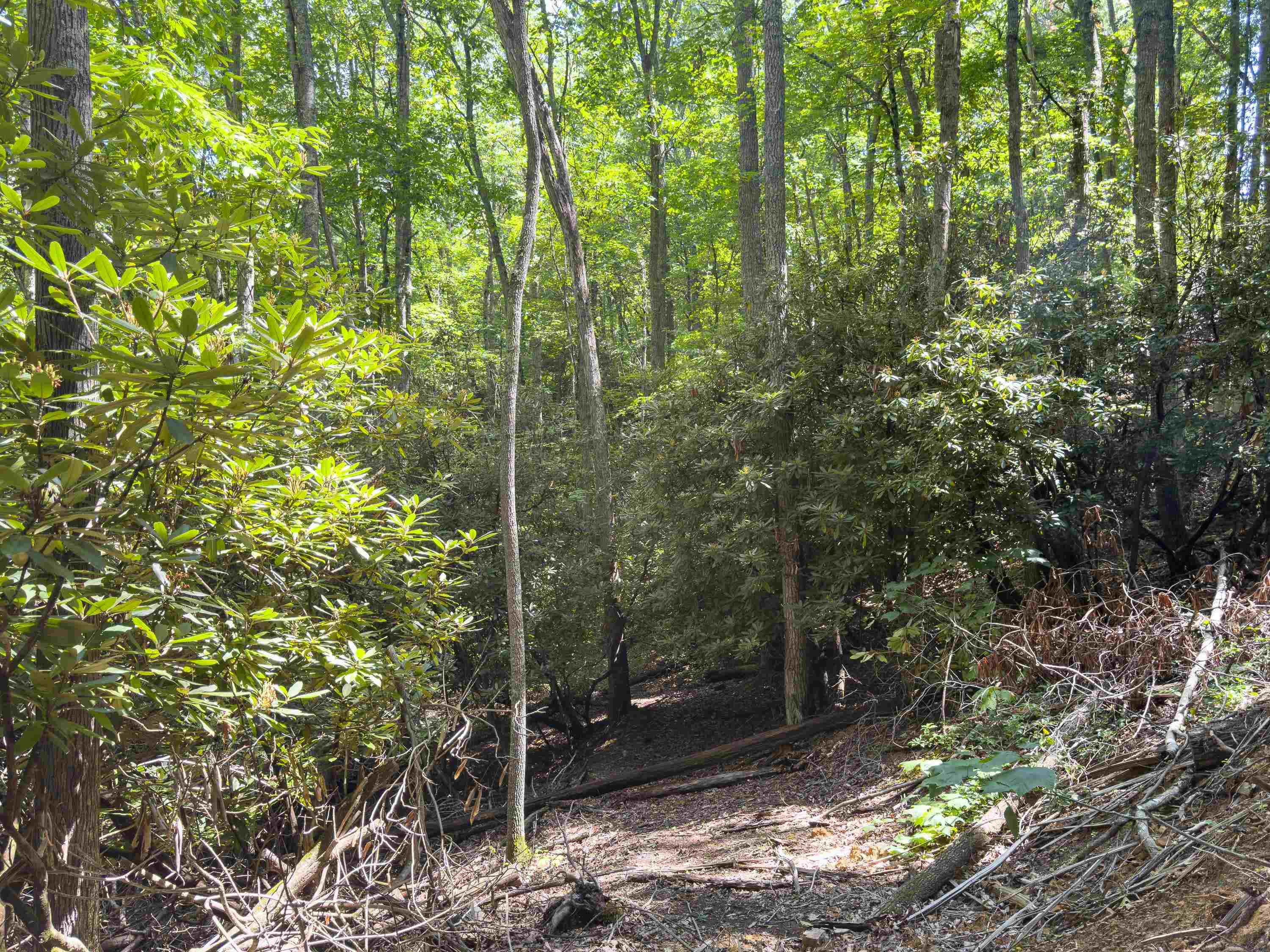 102 Mossy Oak Lane Bland VA 24315
