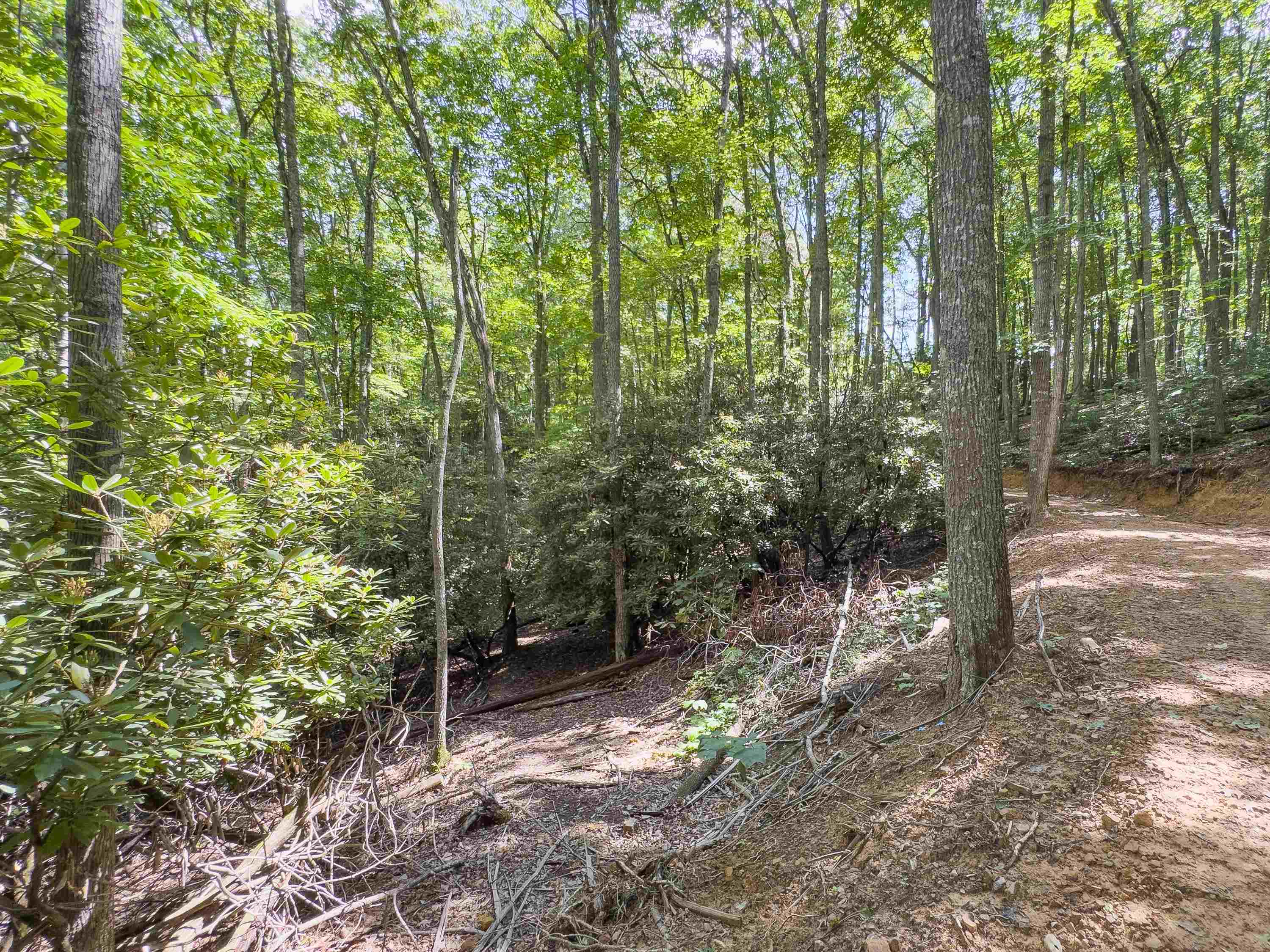 102 Mossy Oak Lane Bland VA 24315