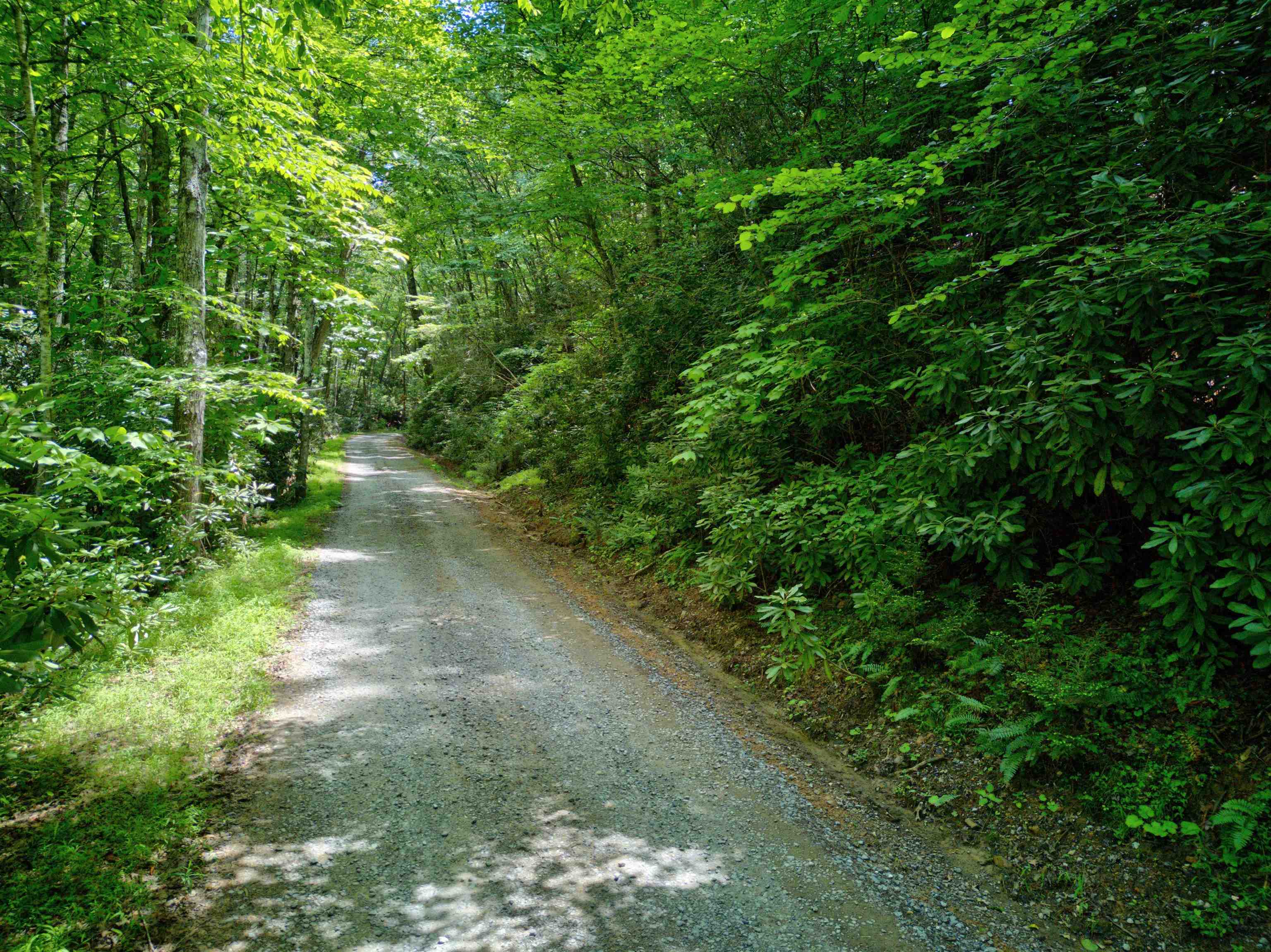 102 Mossy Oak Lane Bland VA 24315