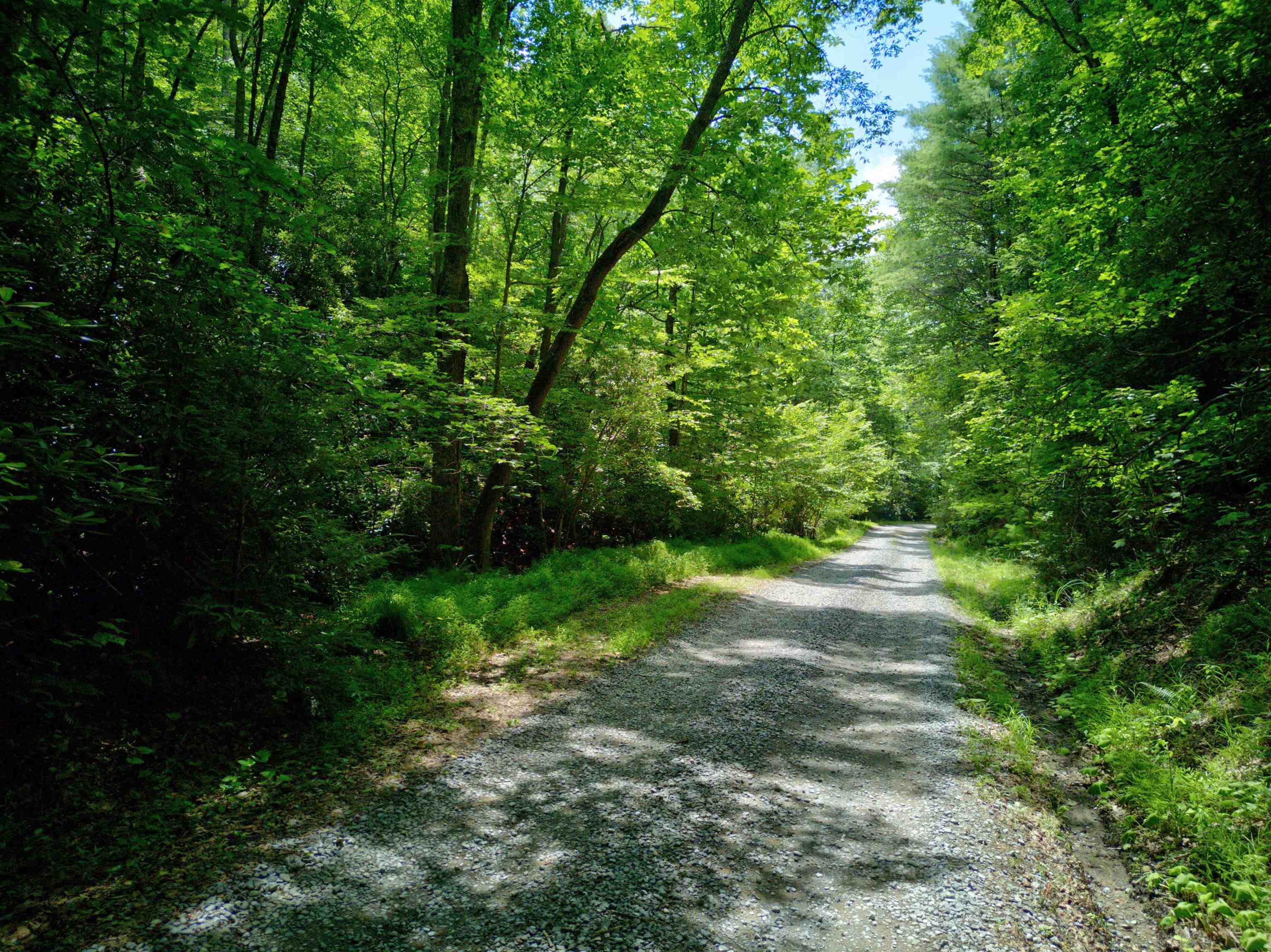 102 Mossy Oak Lane Bland VA 24315