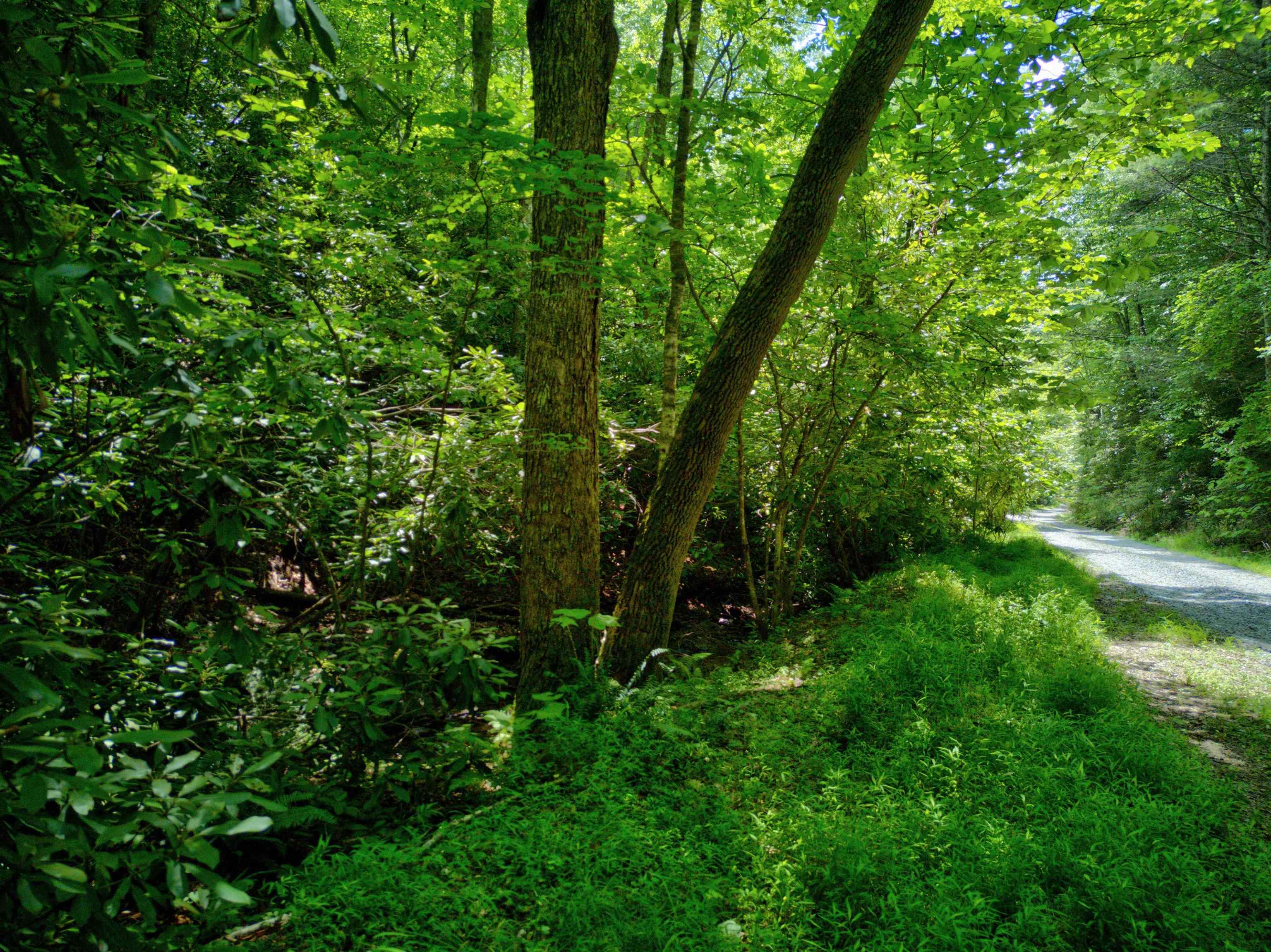 102 Mossy Oak Lane Bland VA 24315
