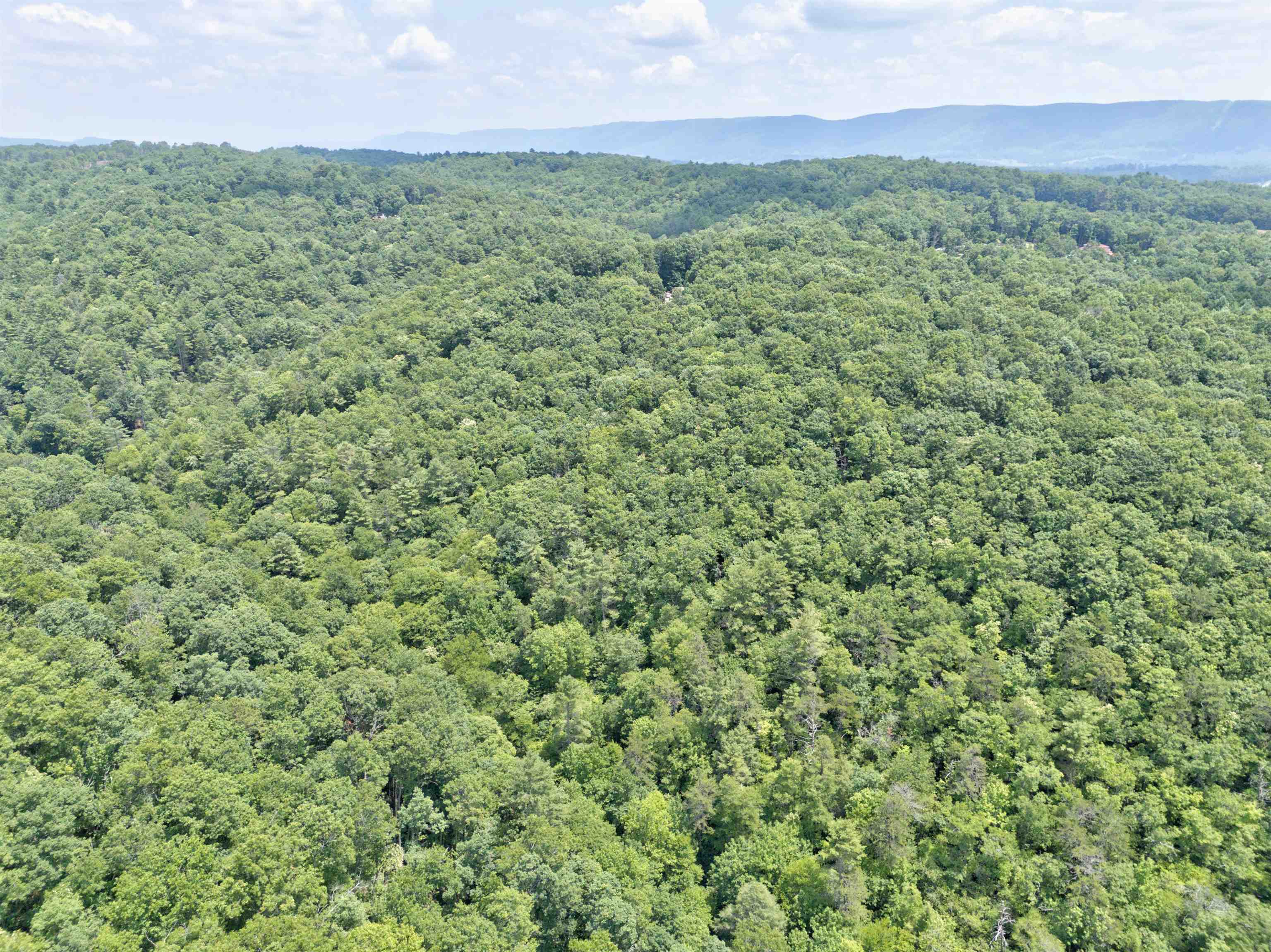 102 Mossy Oak Lane Bland VA 24315