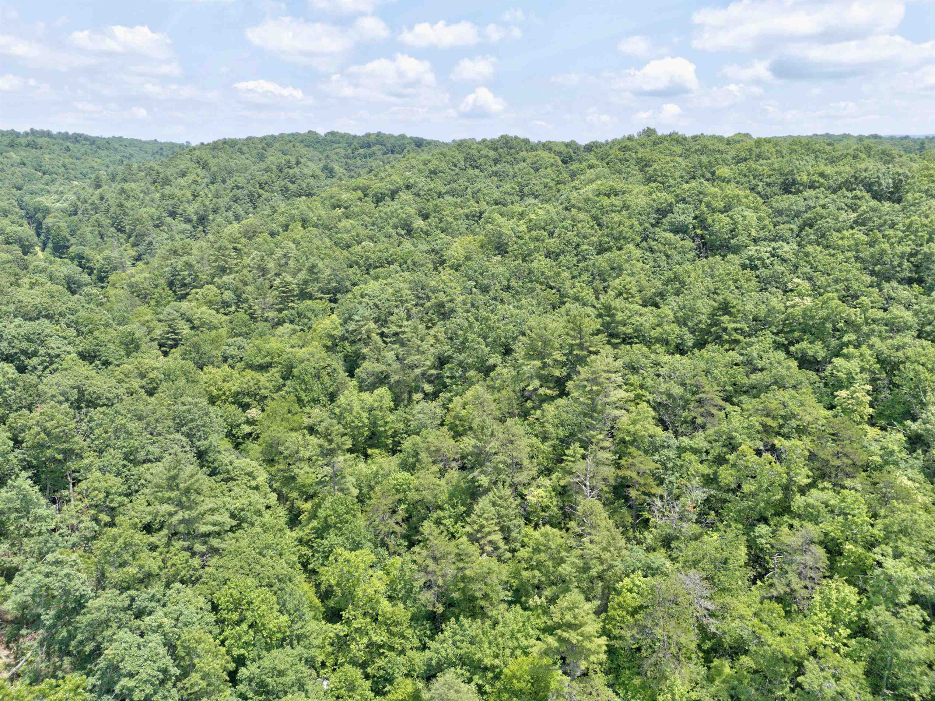 102 Mossy Oak Lane Bland VA 24315
