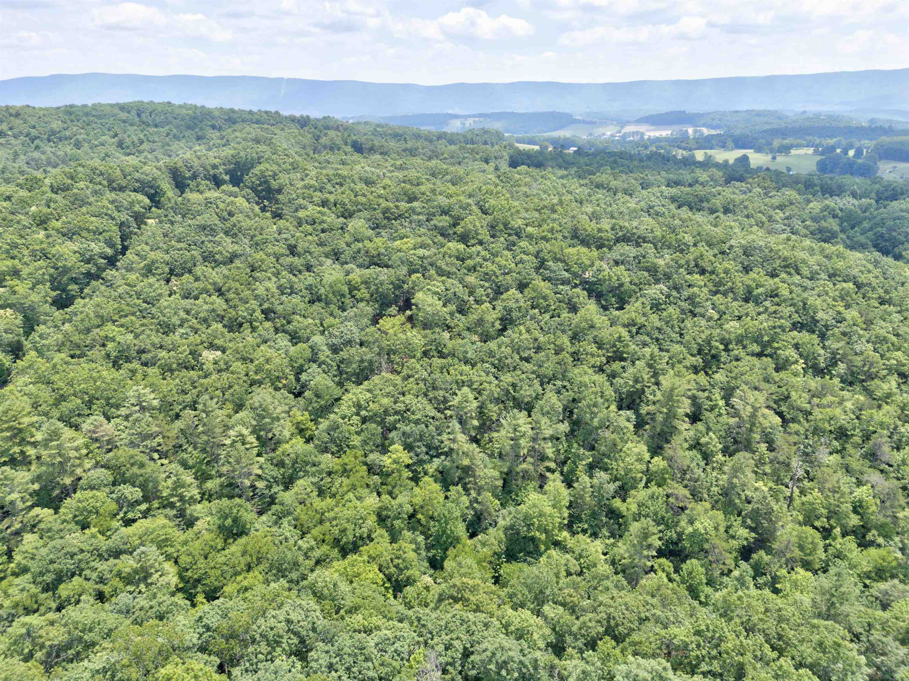 102 Mossy Oak Lane Bland VA 24315
