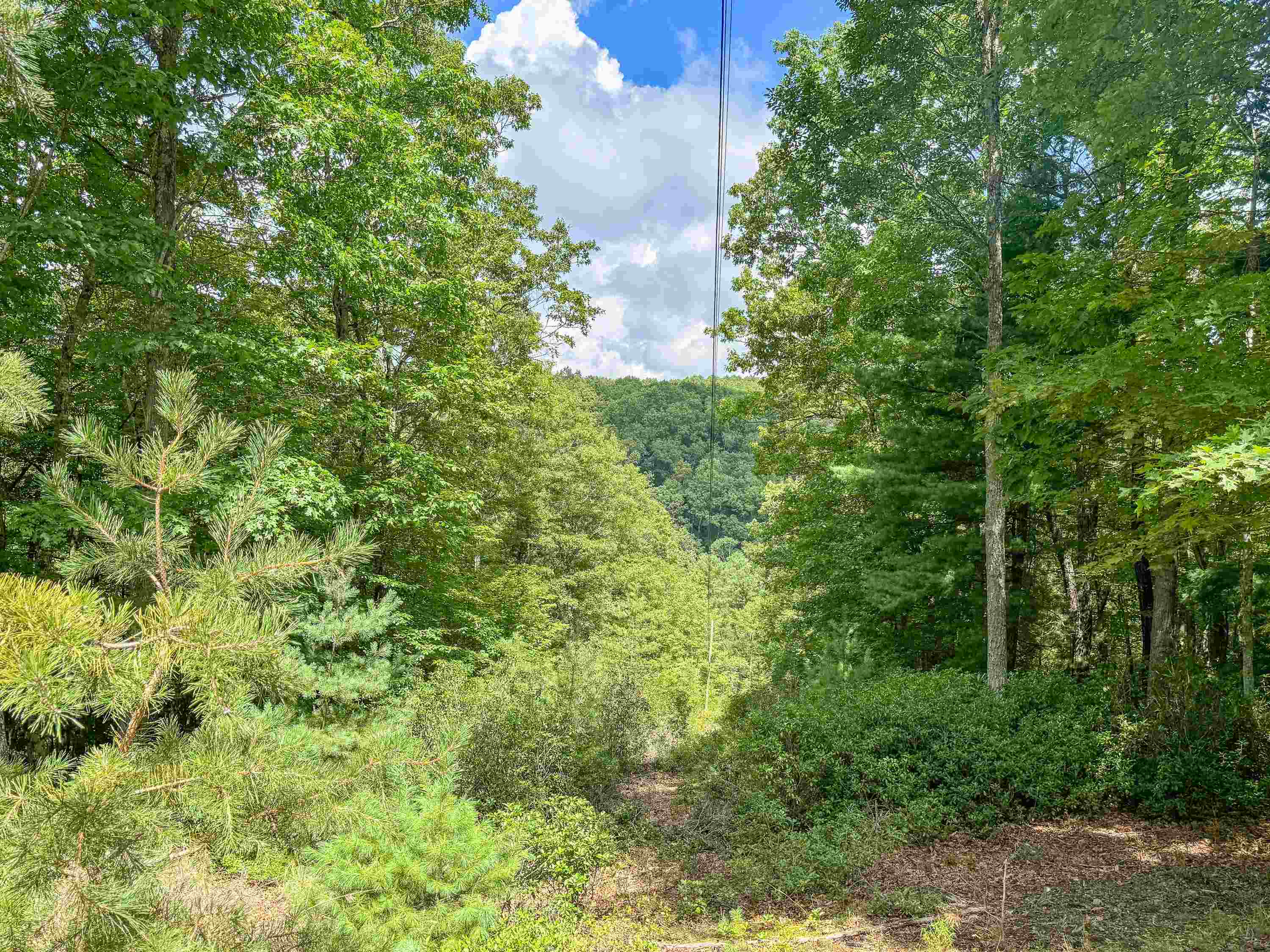 102 Mossy Oak Lane Bland VA 24315