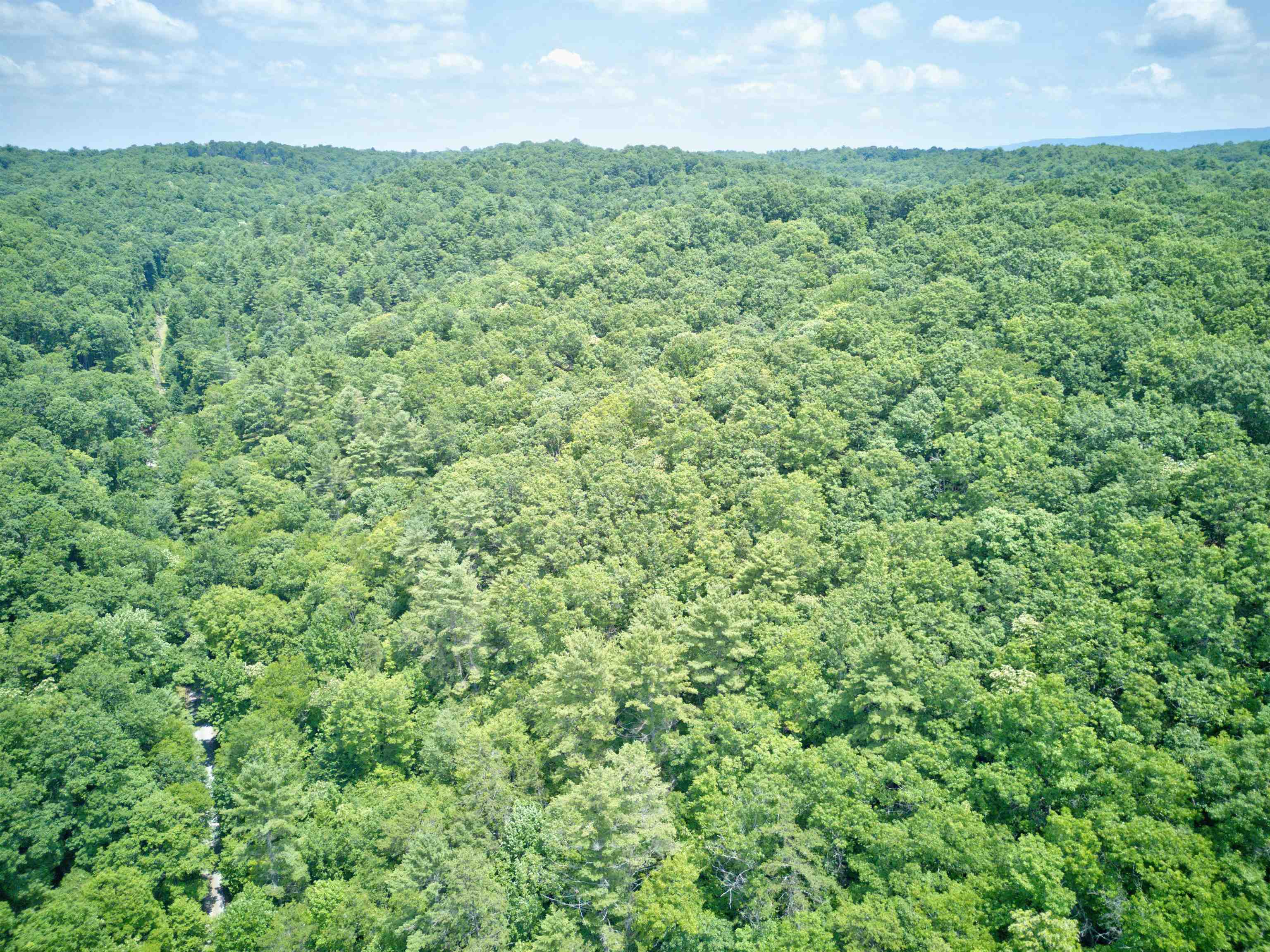 102 Mossy Oak Lane Bland VA 24315