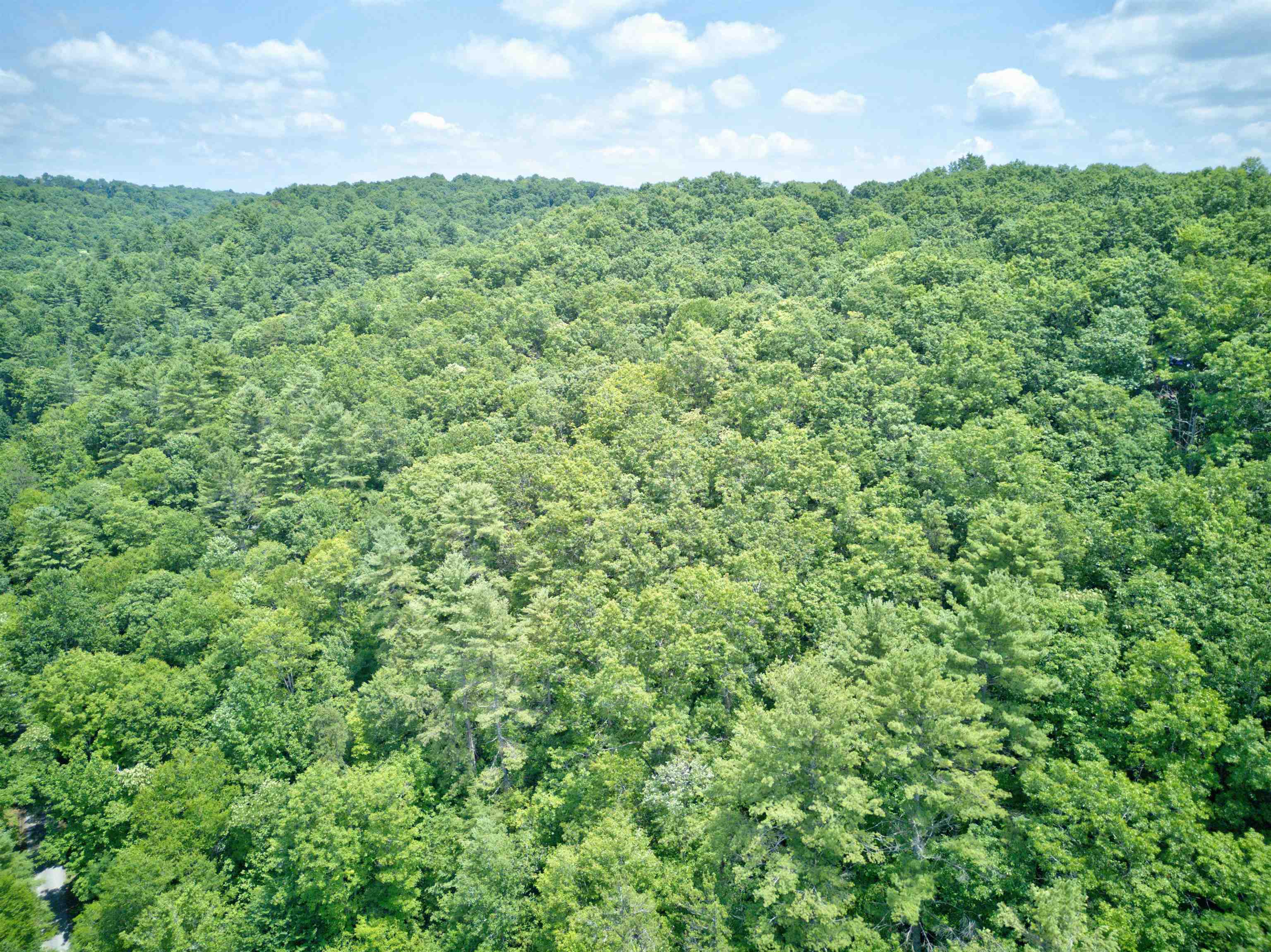 102 Mossy Oak Lane Bland VA 24315