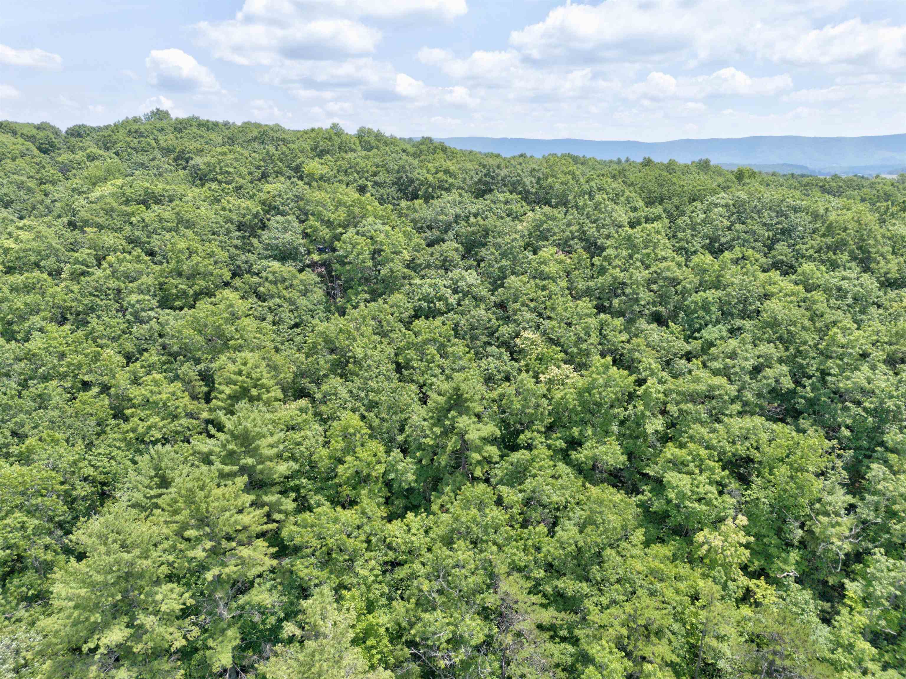 102 Mossy Oak Lane Bland VA 24315