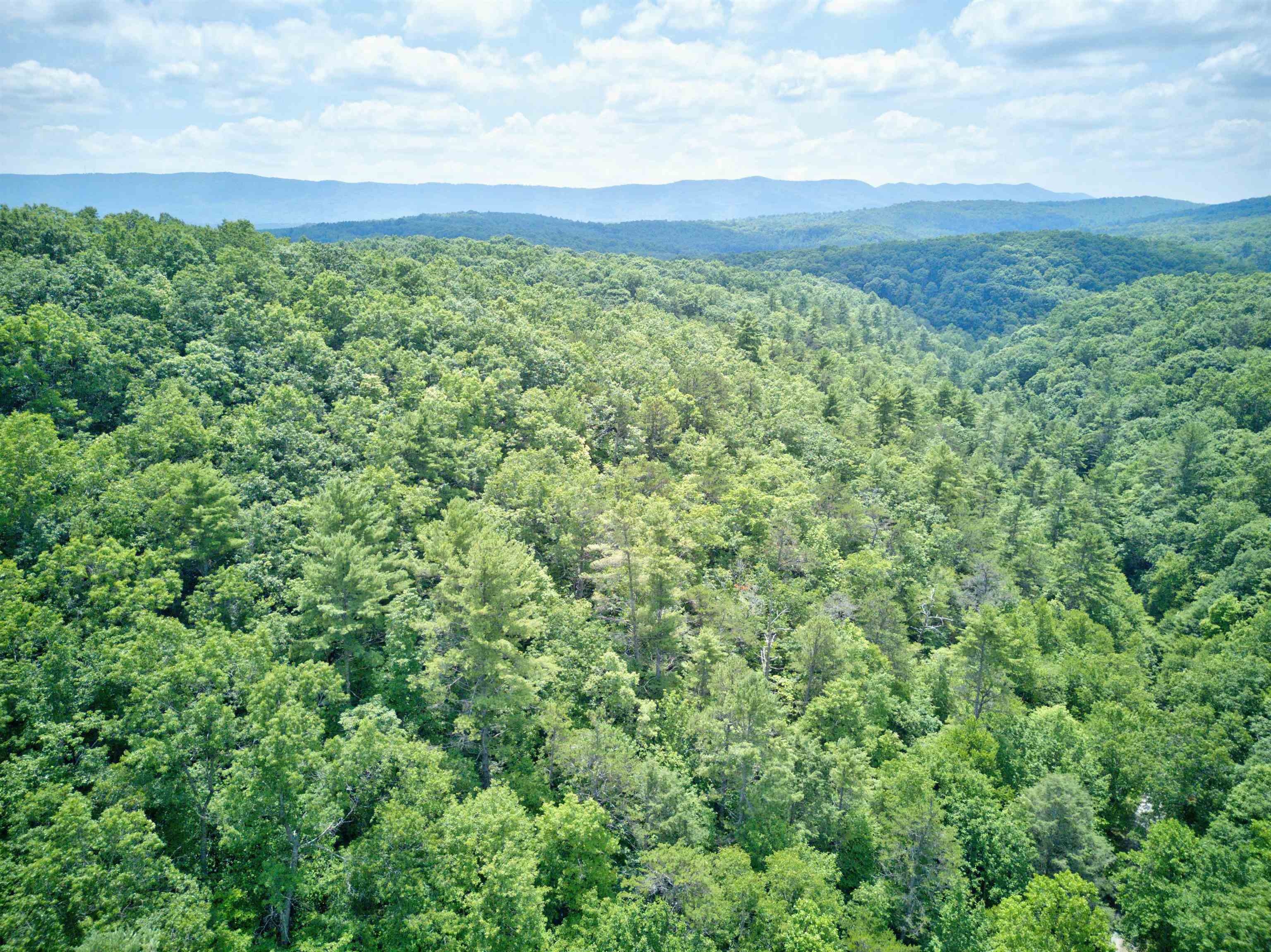 102 Mossy Oak Lane Bland VA 24315