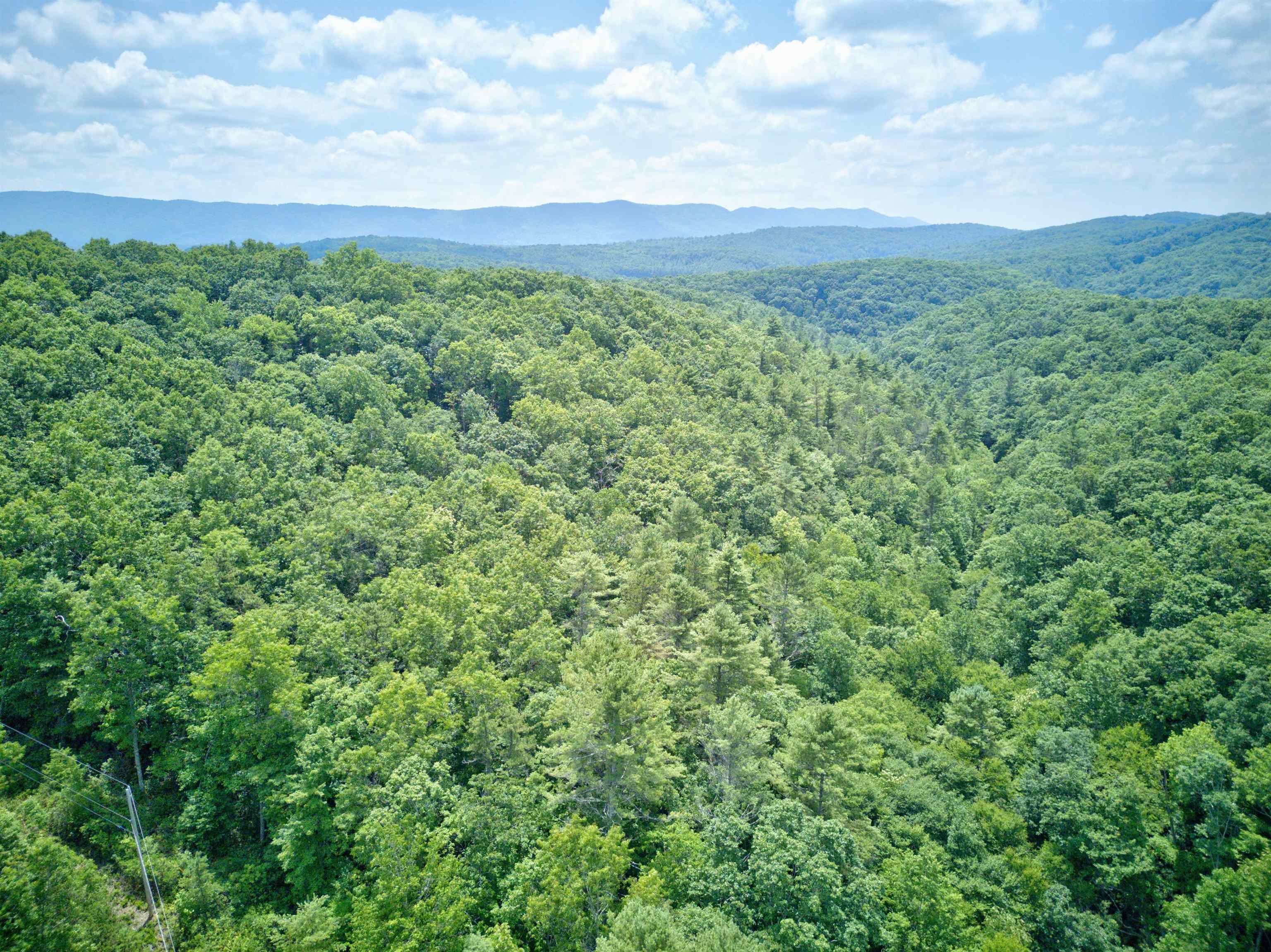 102 Mossy Oak Lane Bland VA 24315