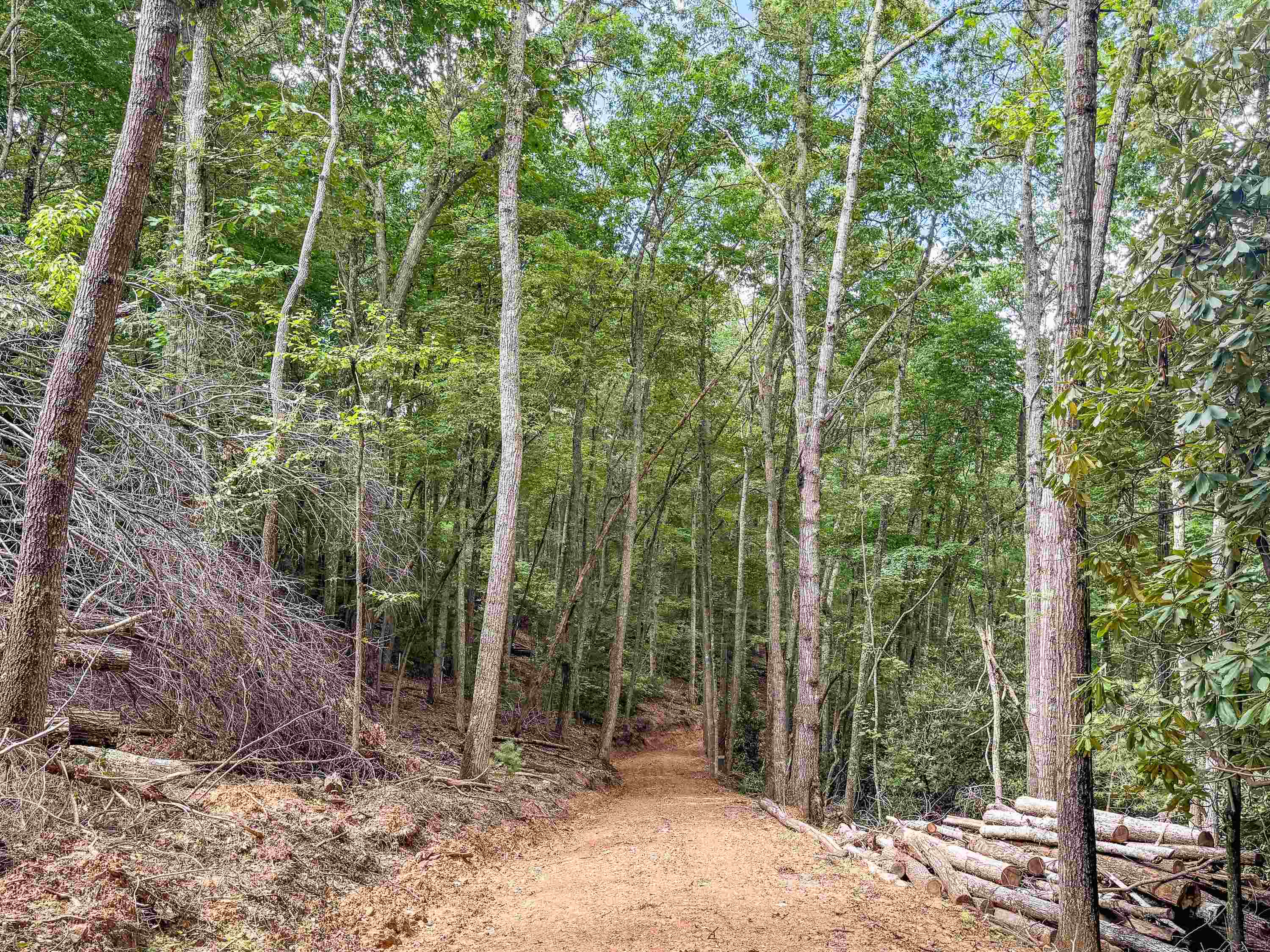 102 Mossy Oak Lane Bland VA 24315
