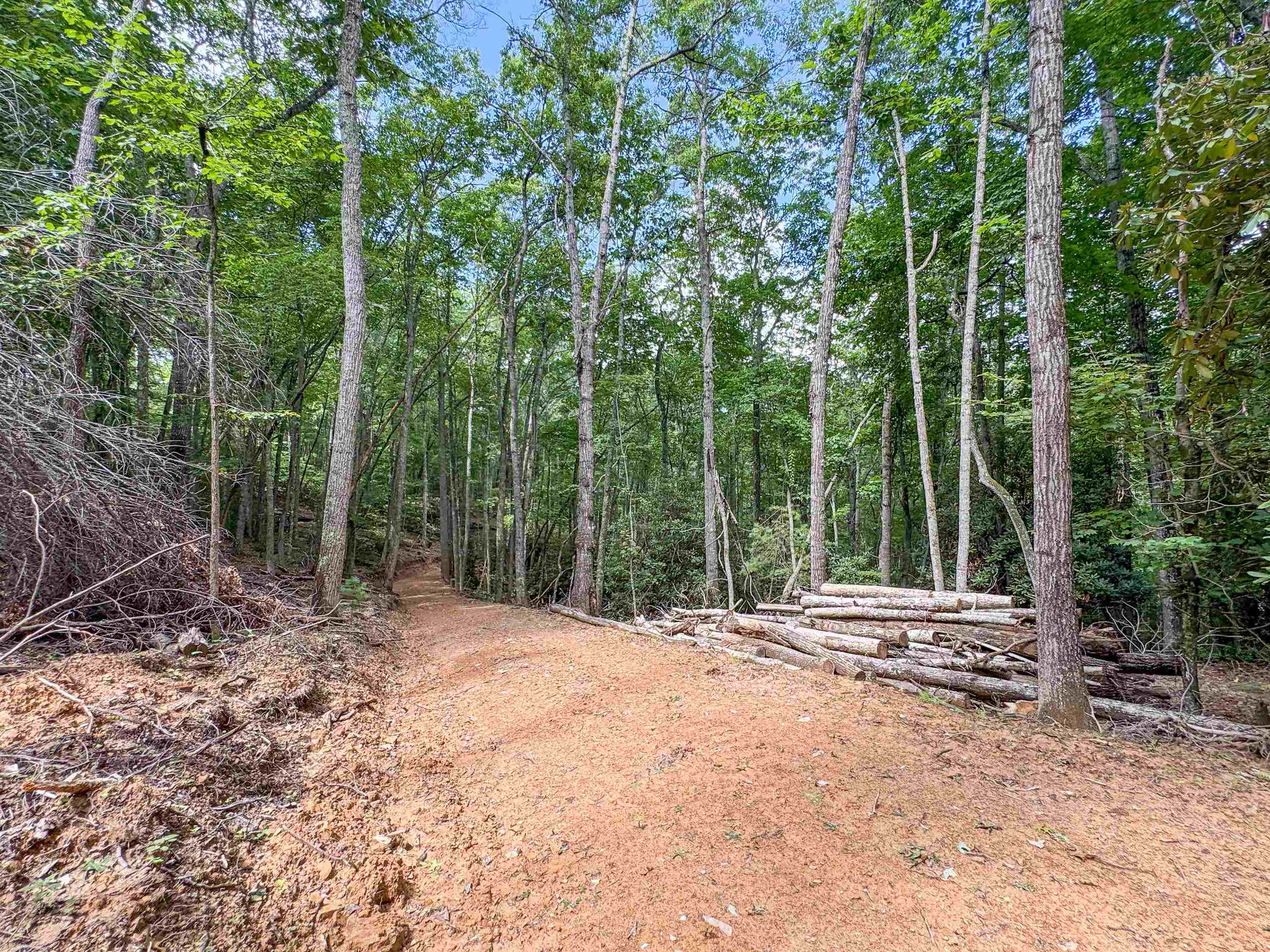 102 Mossy Oak Lane Bland VA 24315