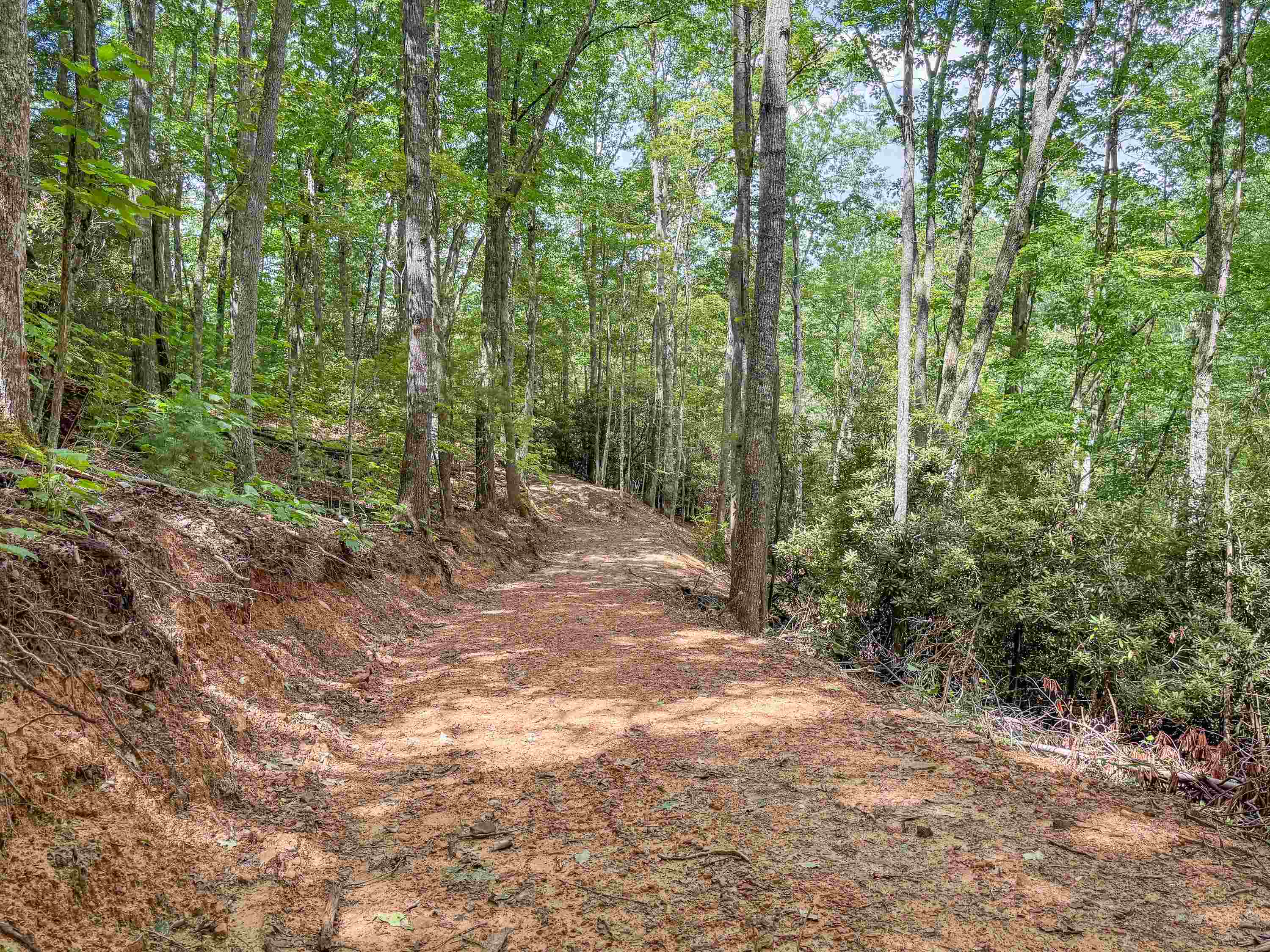 102 Mossy Oak Lane Bland VA 24315