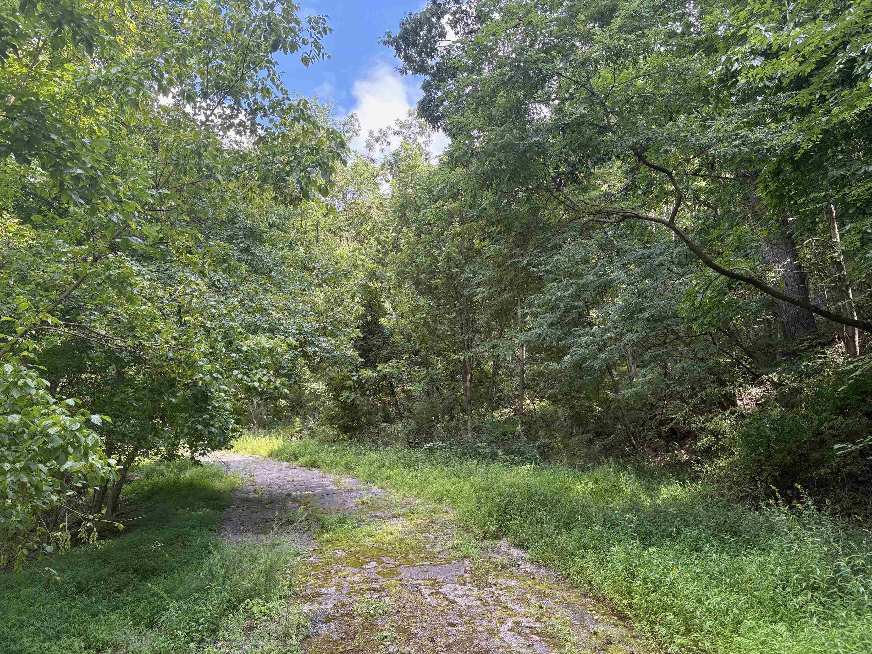 Tbd Virginia Avenue Newport VA 24128