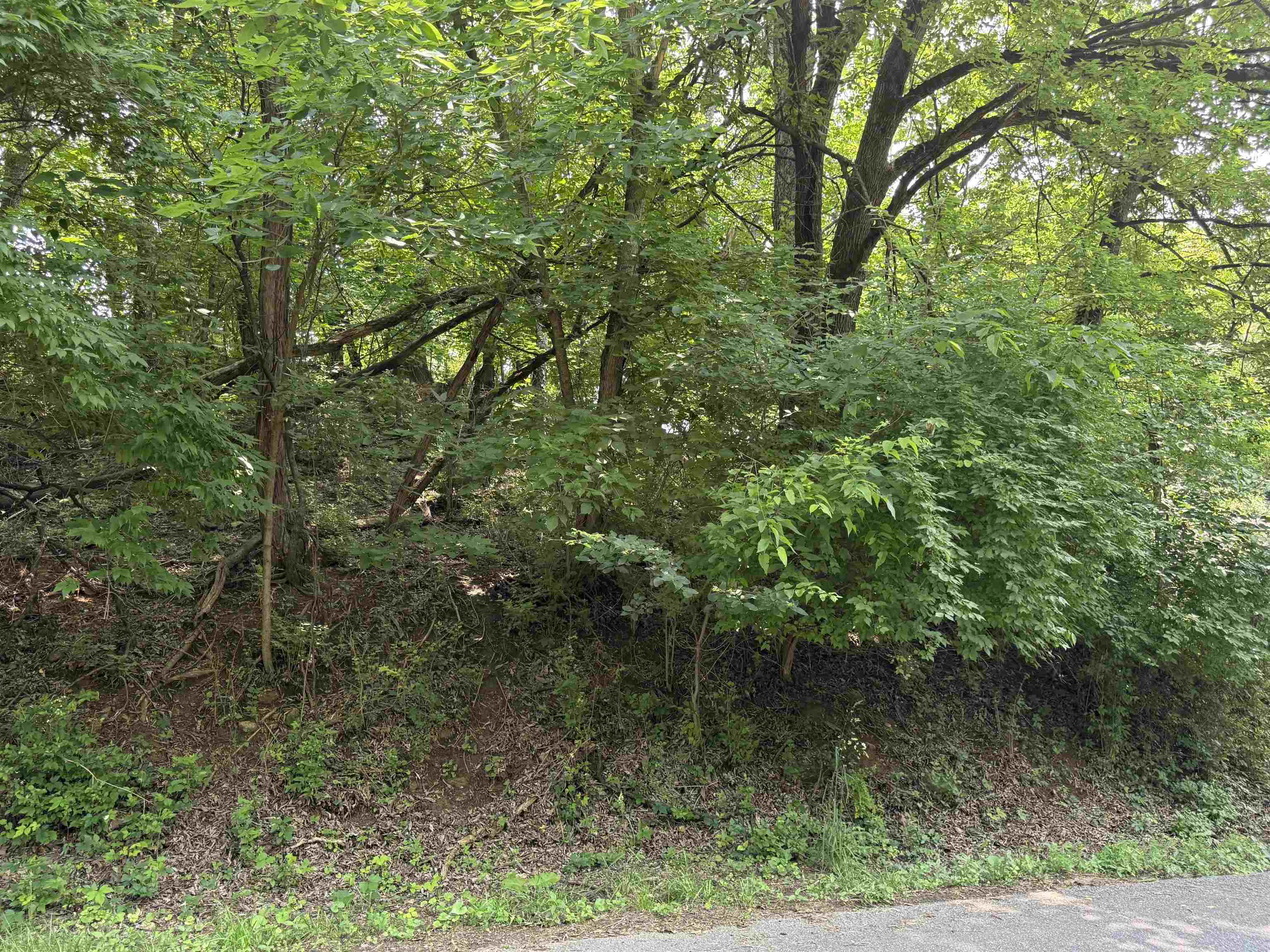 Tbd Chestnut Street Vinton VA 24179