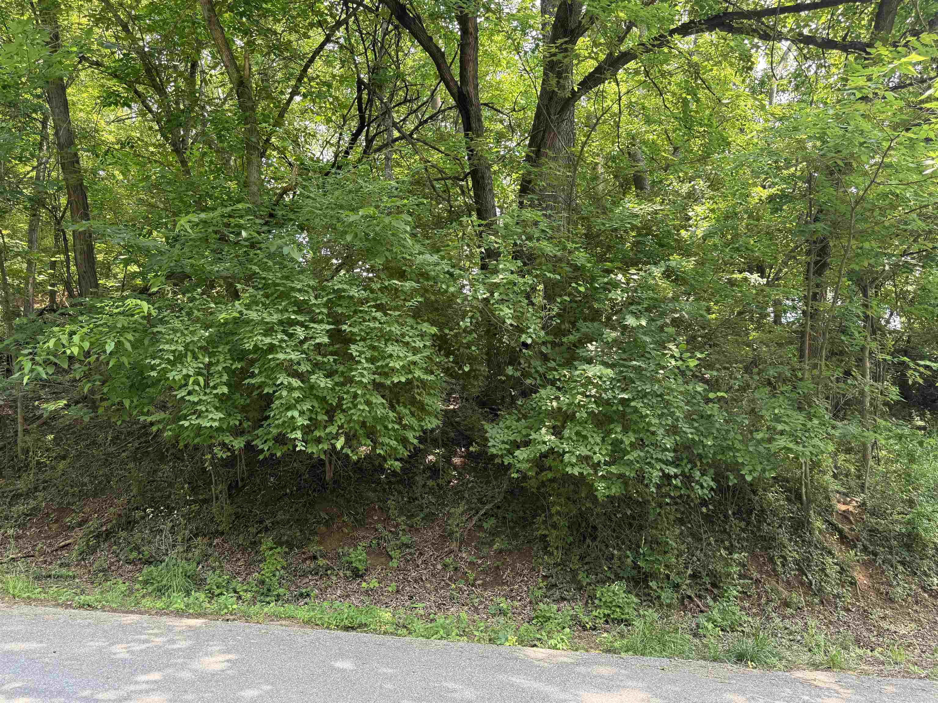 Tbd Chestnut Street Vinton VA 24179