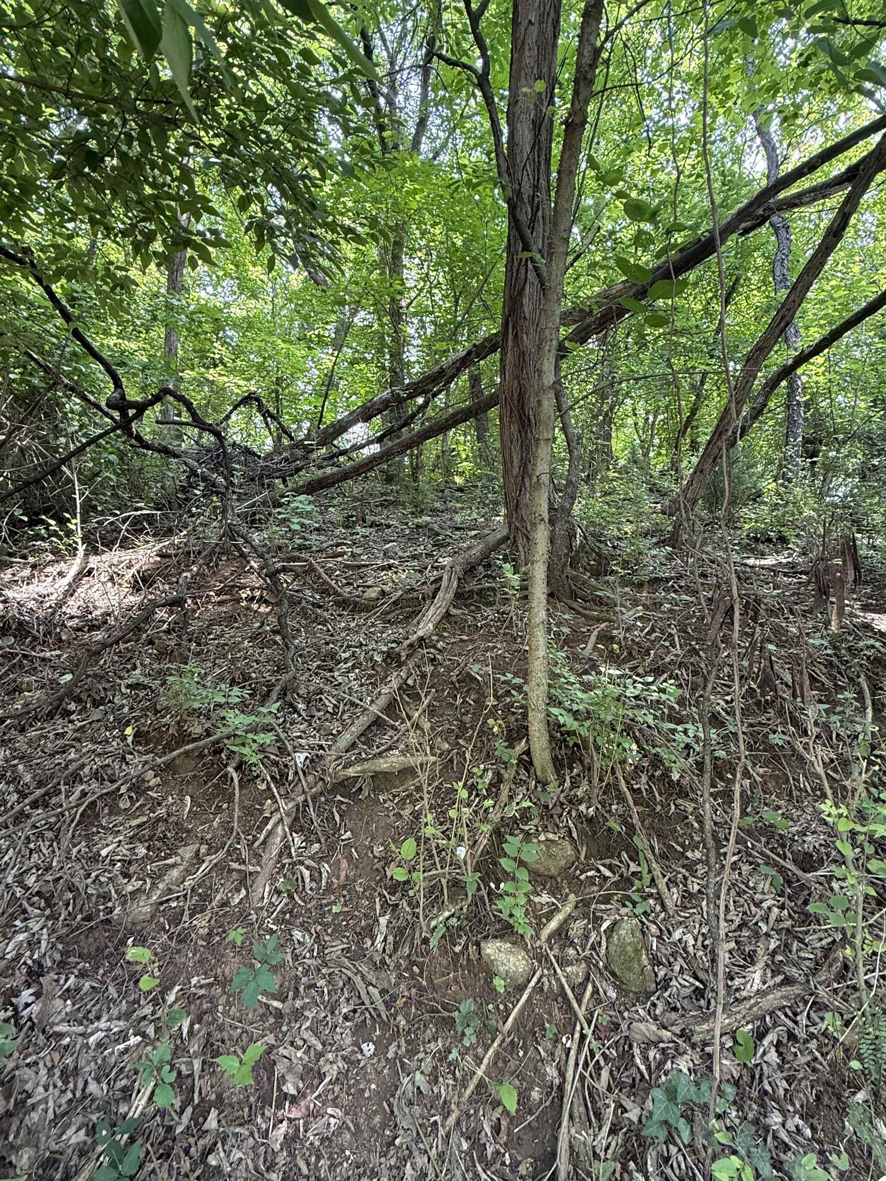 Tbd Chestnut Street Vinton VA 24179