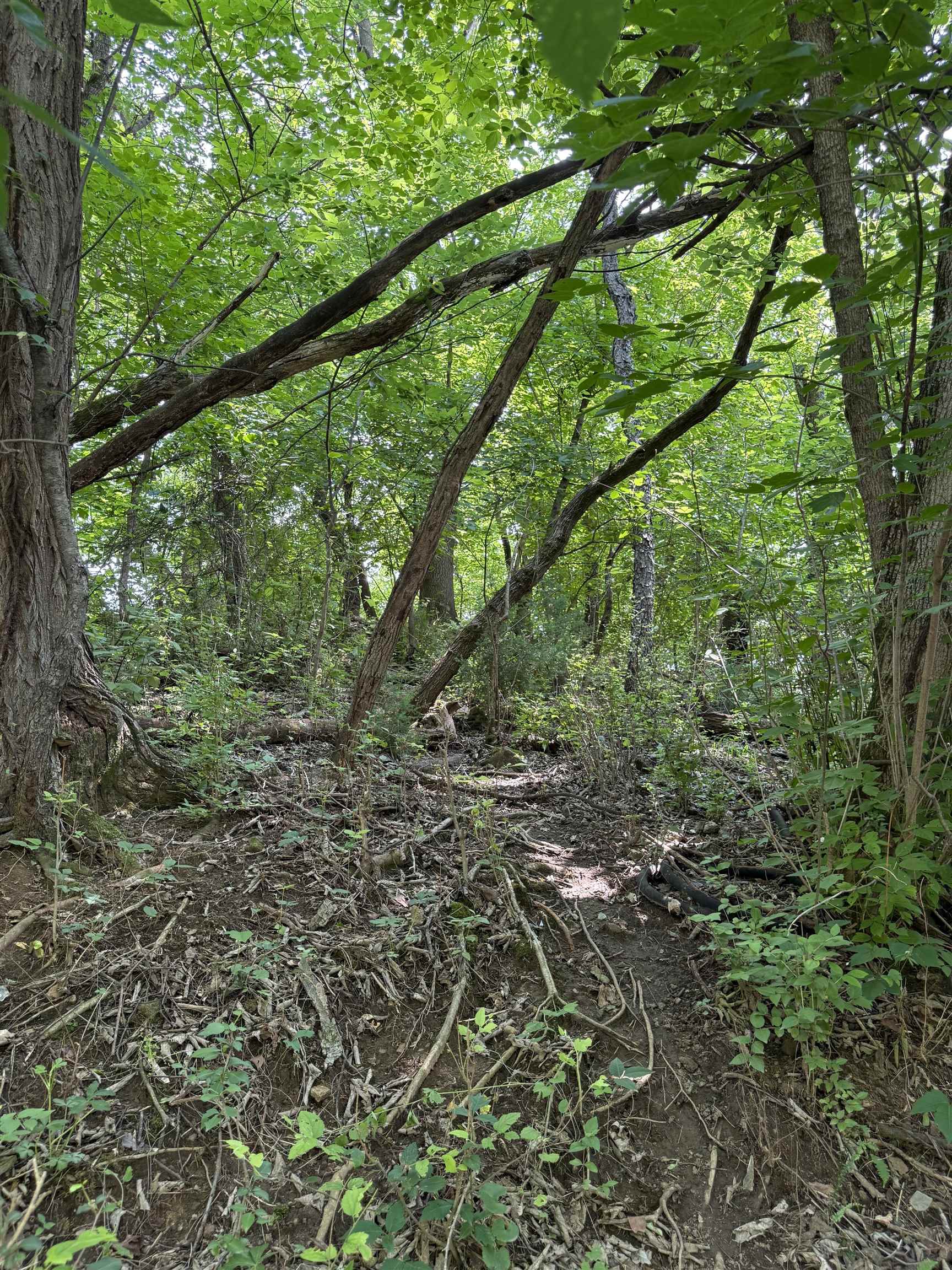 Tbd Chestnut Street Vinton VA 24179