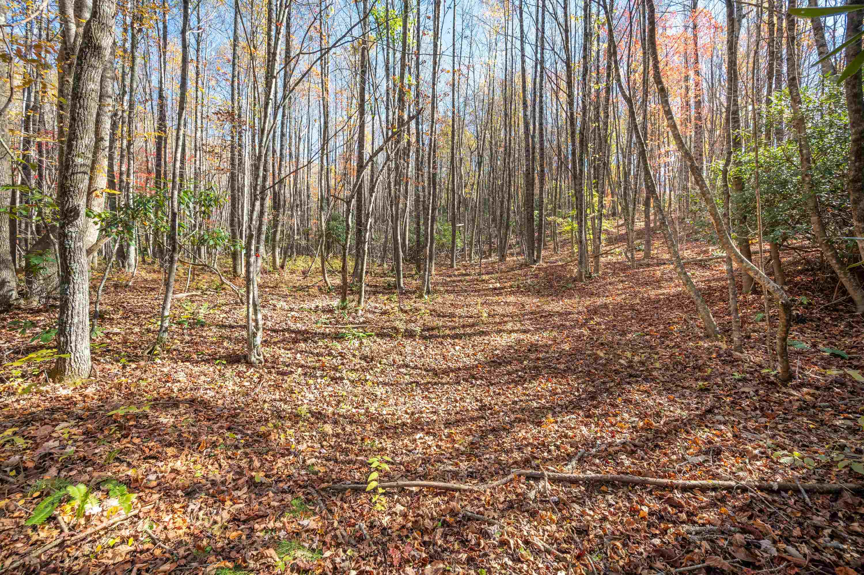 857 Phadettia Road SW Willis VA 24380