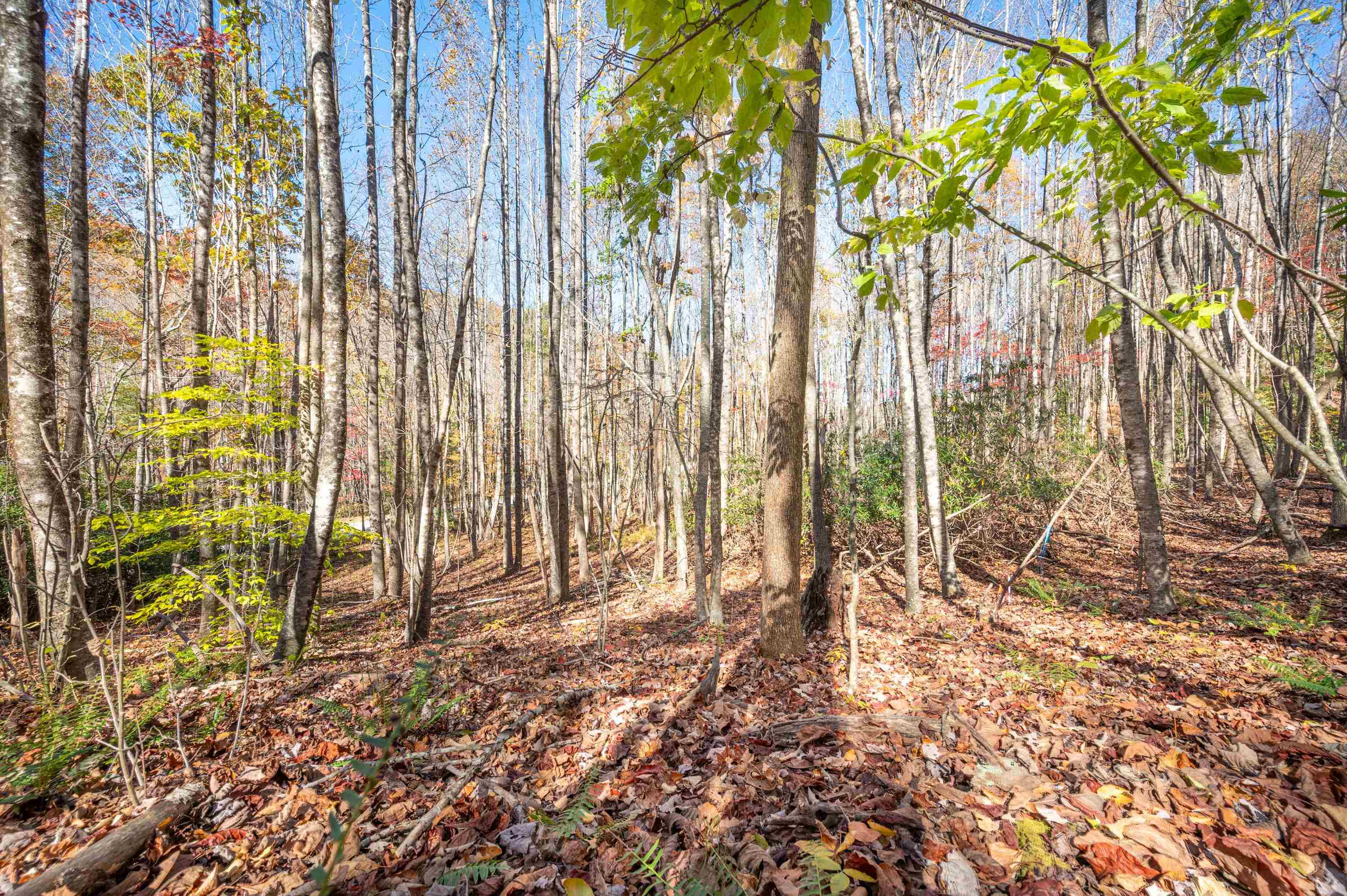 857 Phadettia Road SW Willis VA 24380