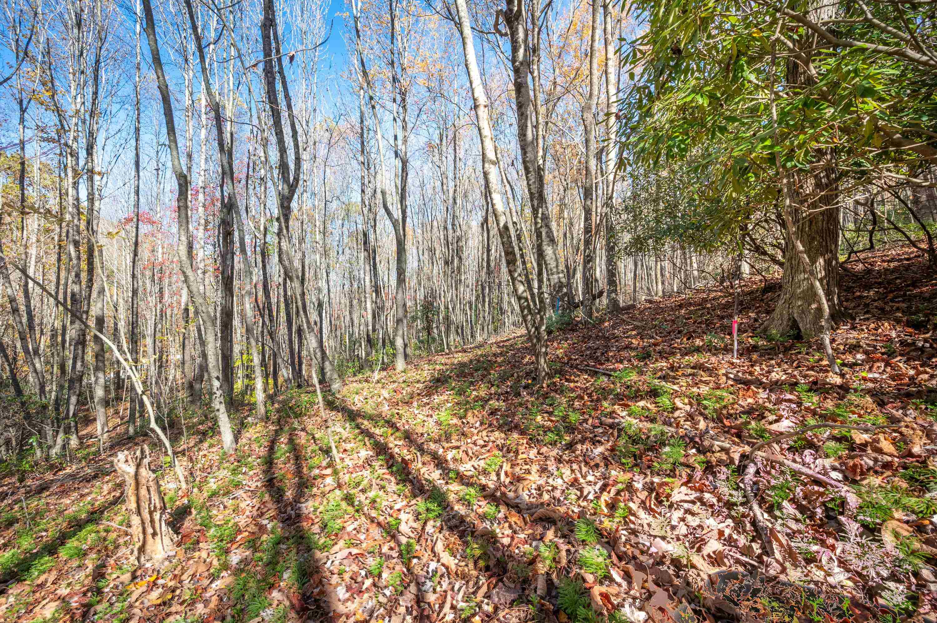 857 Phadettia Road SW Willis VA 24380