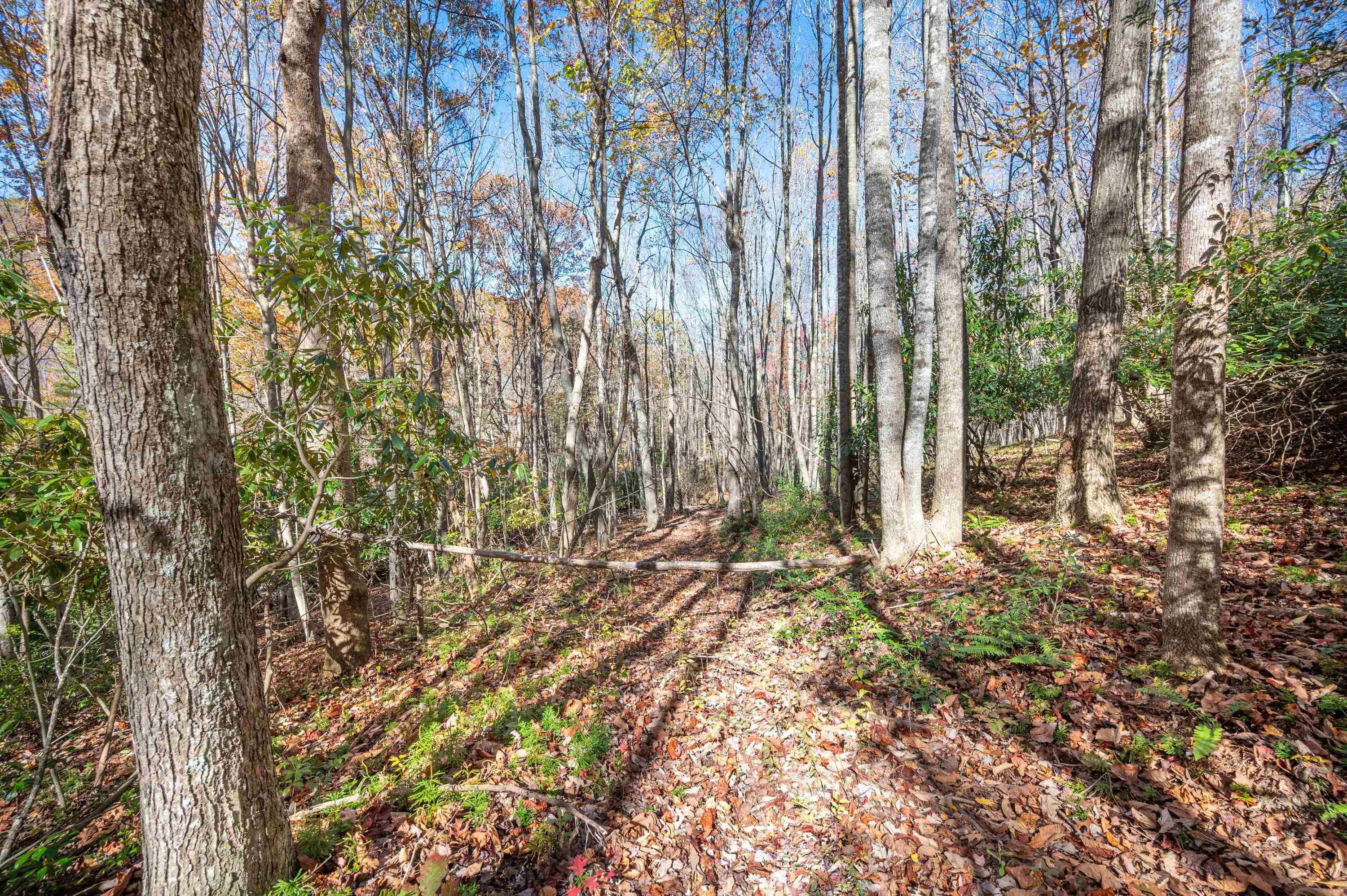 857 Phadettia Road SW Willis VA 24380