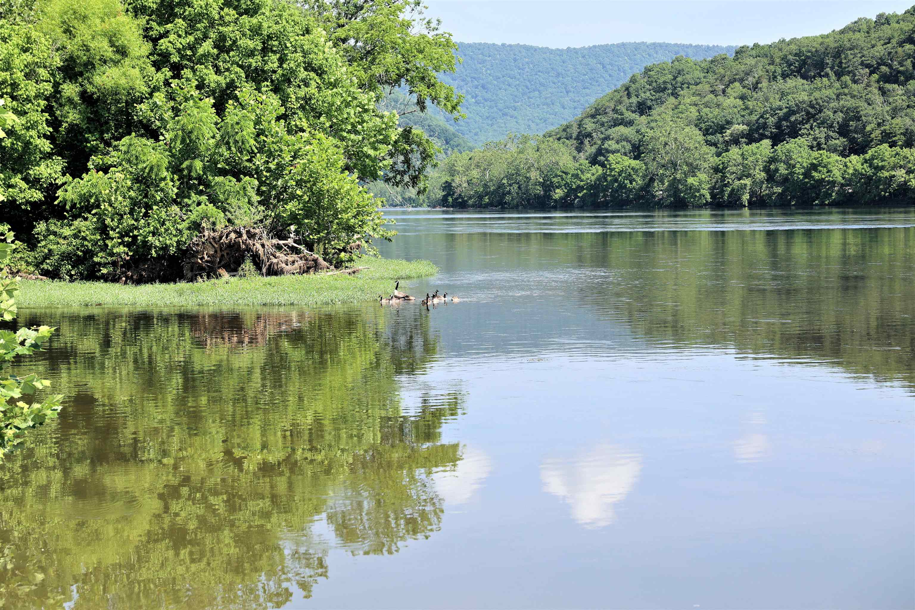 7966 Parrott River Road Parrott VA 24132