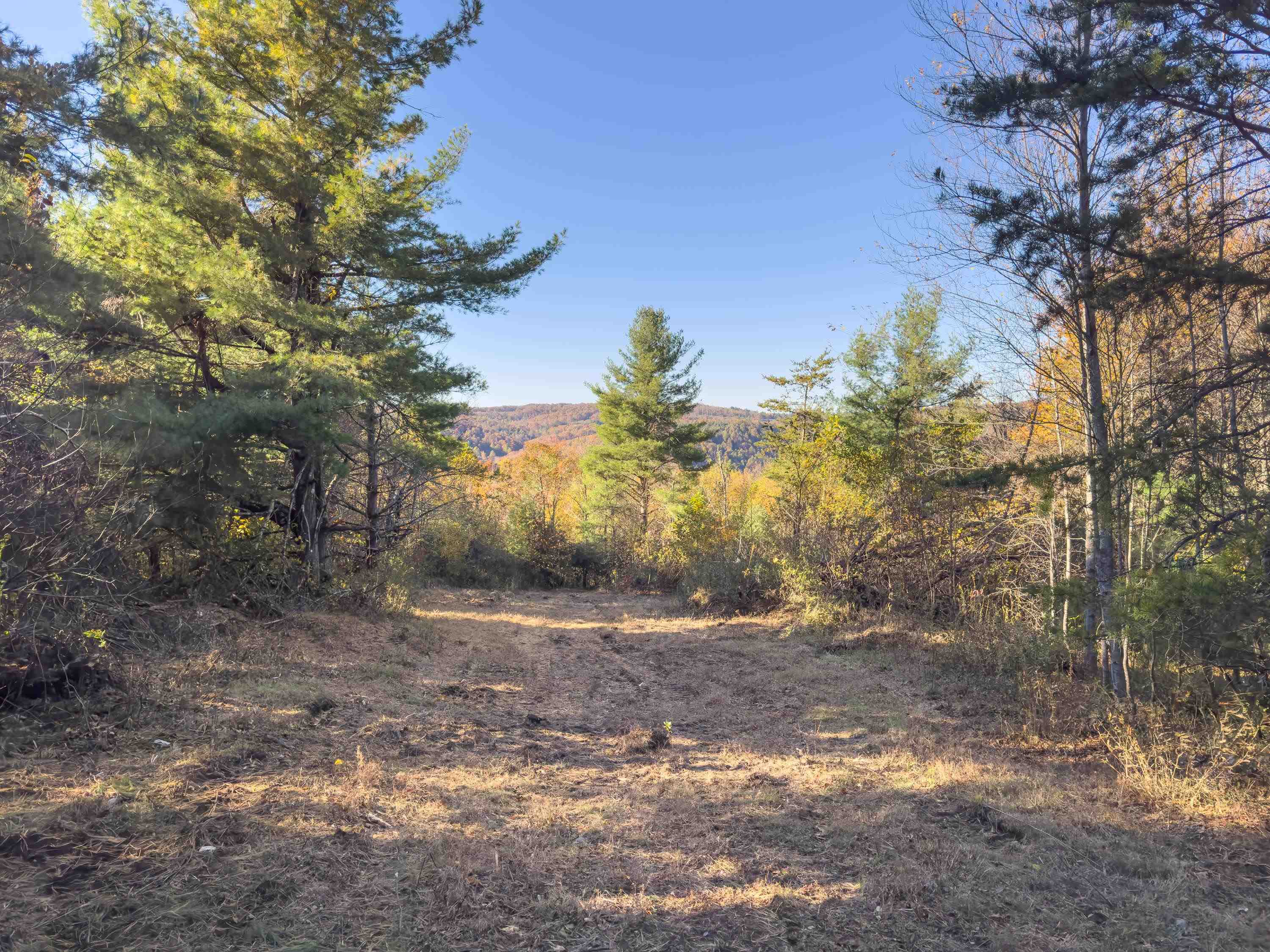 00 Belcher Mountain Road Meadows Of Dan VA 24120