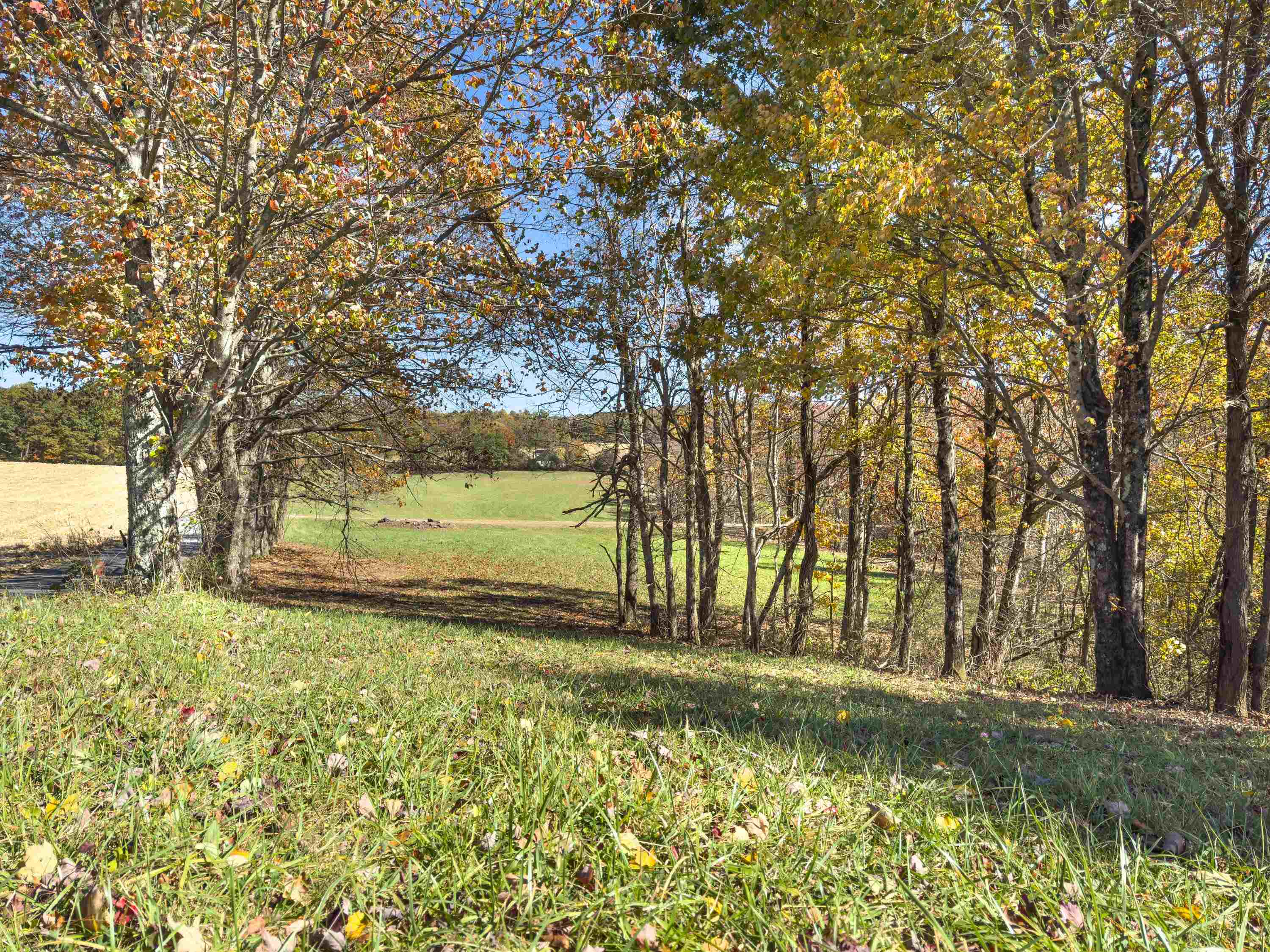 00 Belcher Mountain Road Meadows Of Dan VA 24120