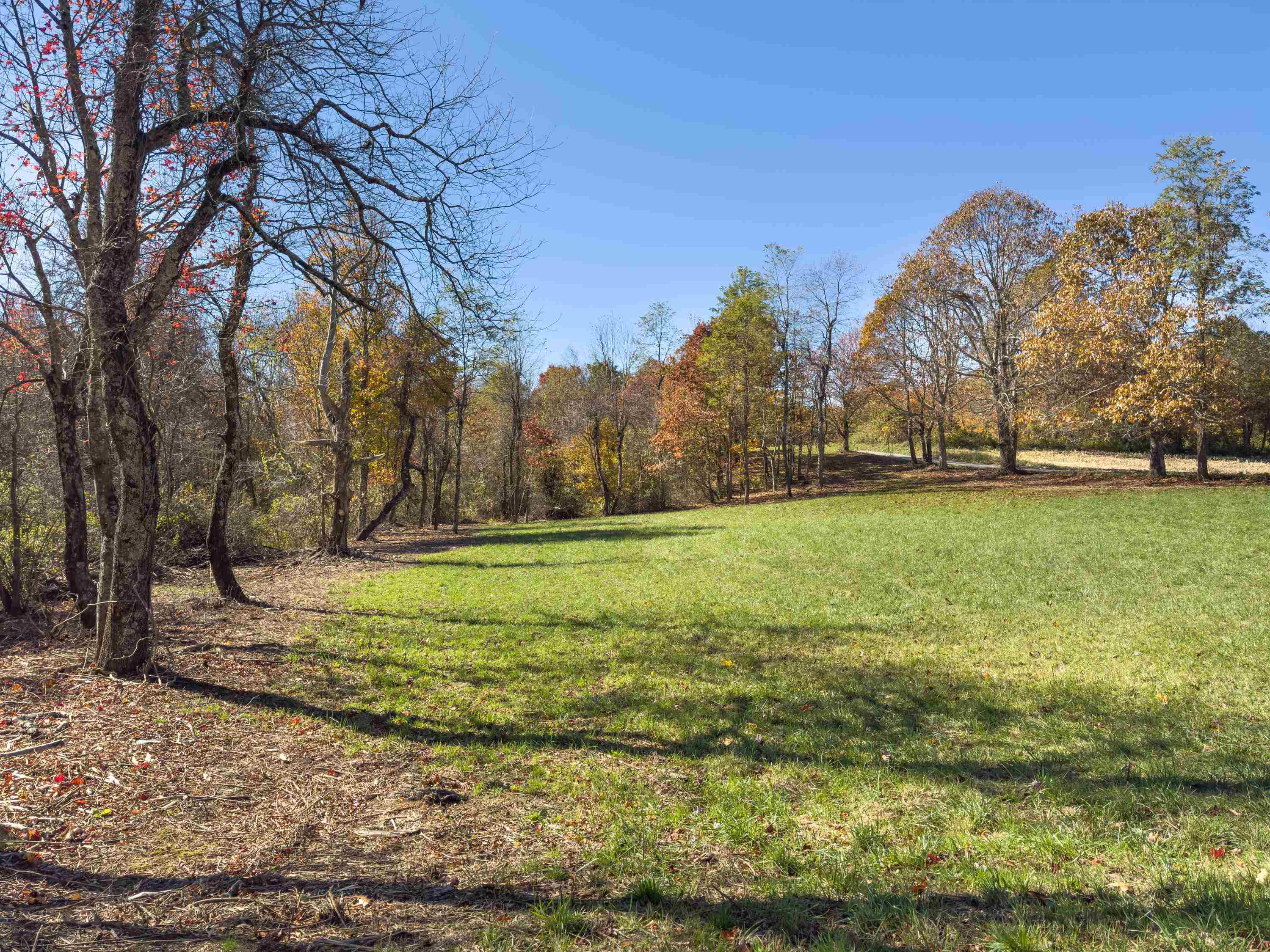 00 Belcher Mountain Road Meadows Of Dan VA 24120