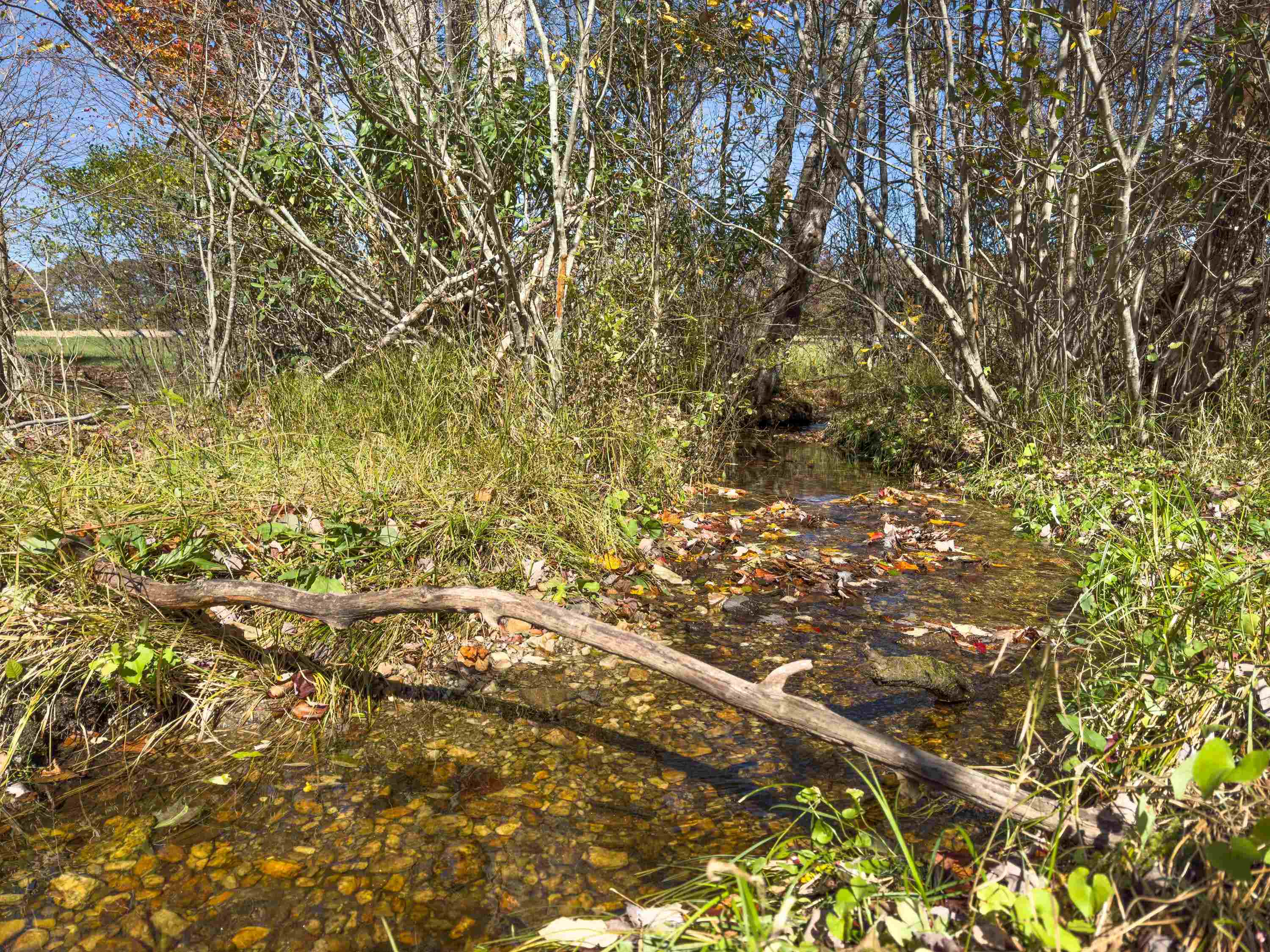 00 Belcher Mountain Road Meadows Of Dan VA 24120