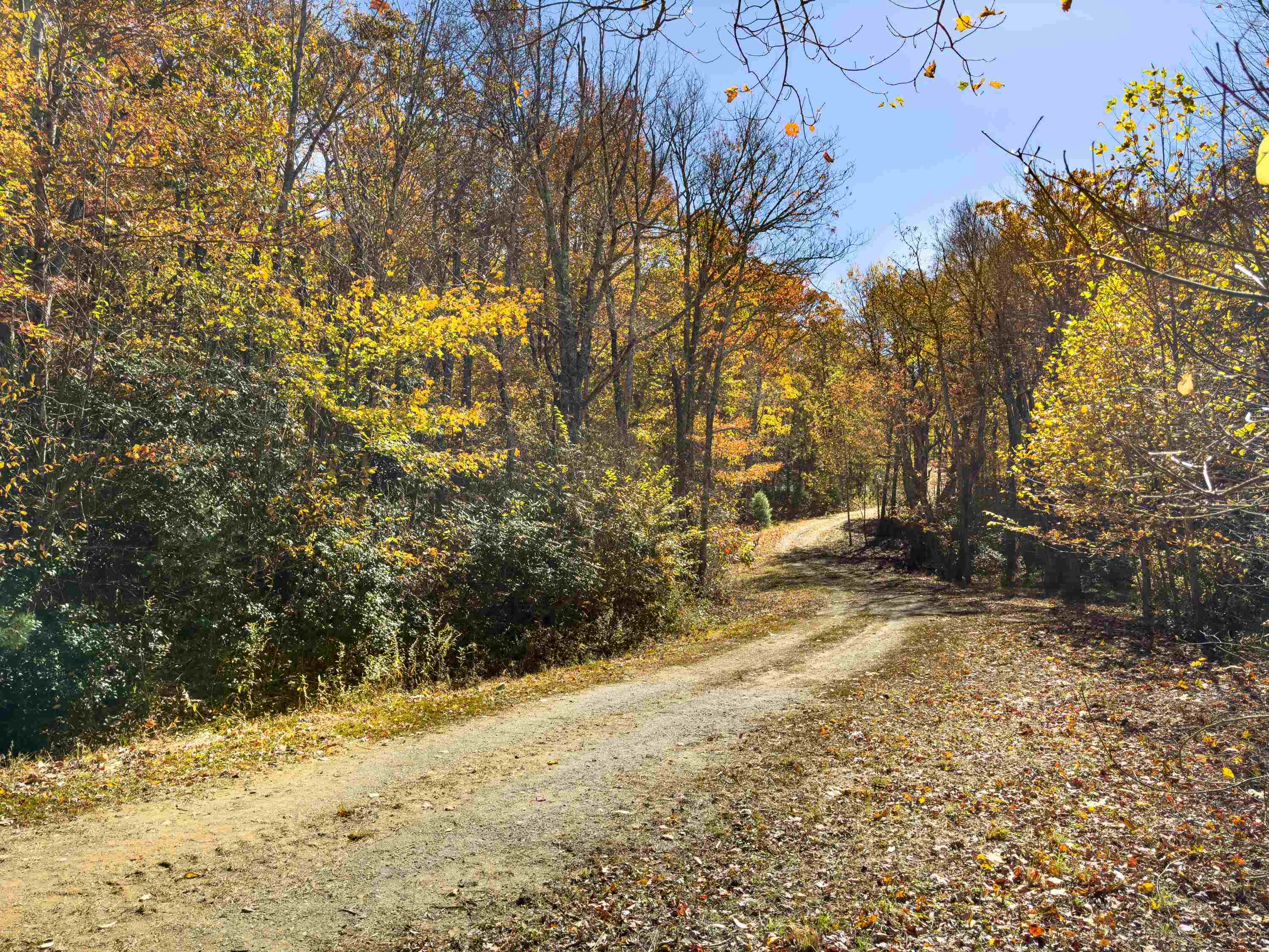 00 Belcher Mountain Road Meadows Of Dan VA 24120