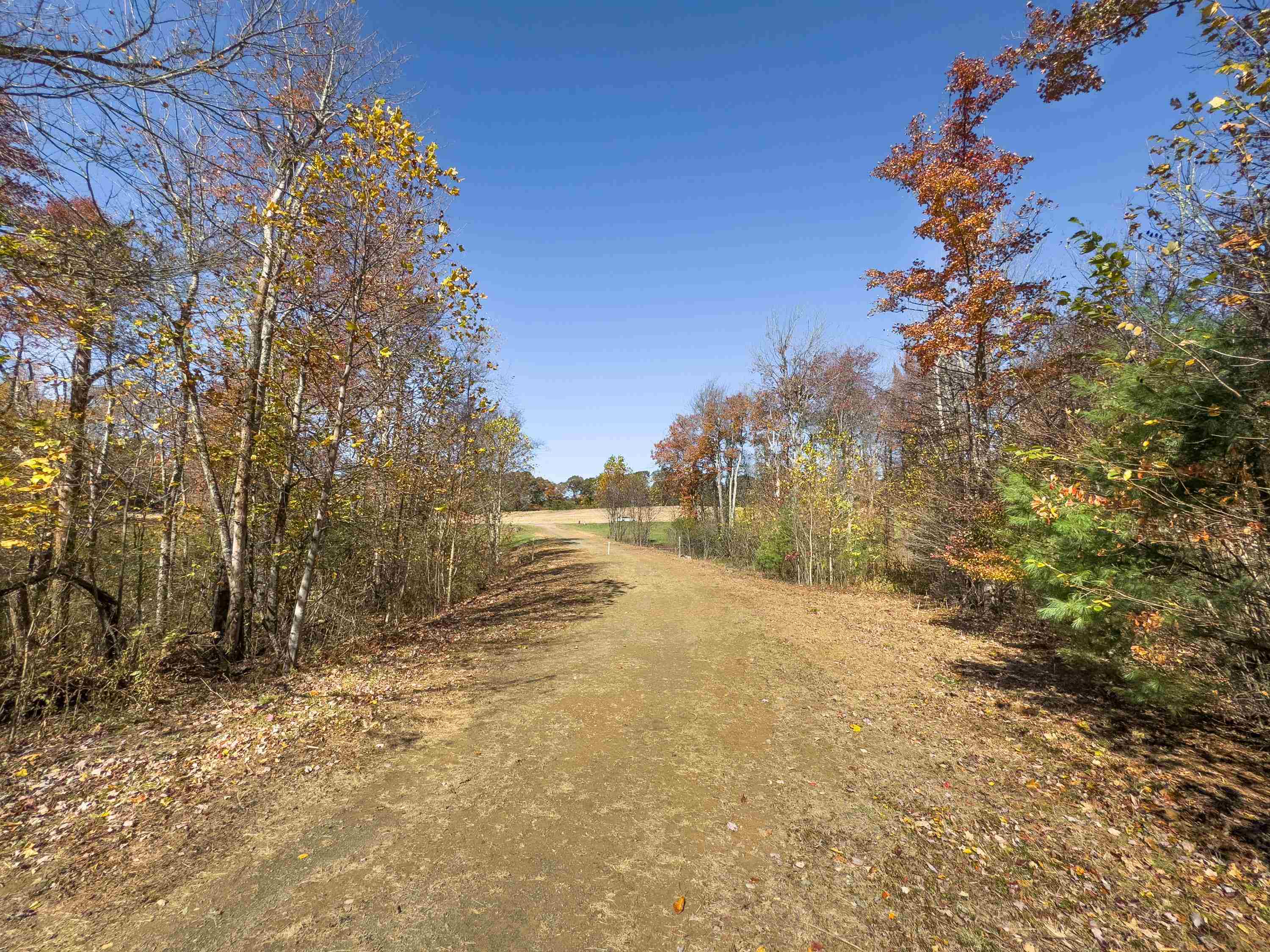 00 Belcher Mountain Road Meadows Of Dan VA 24120