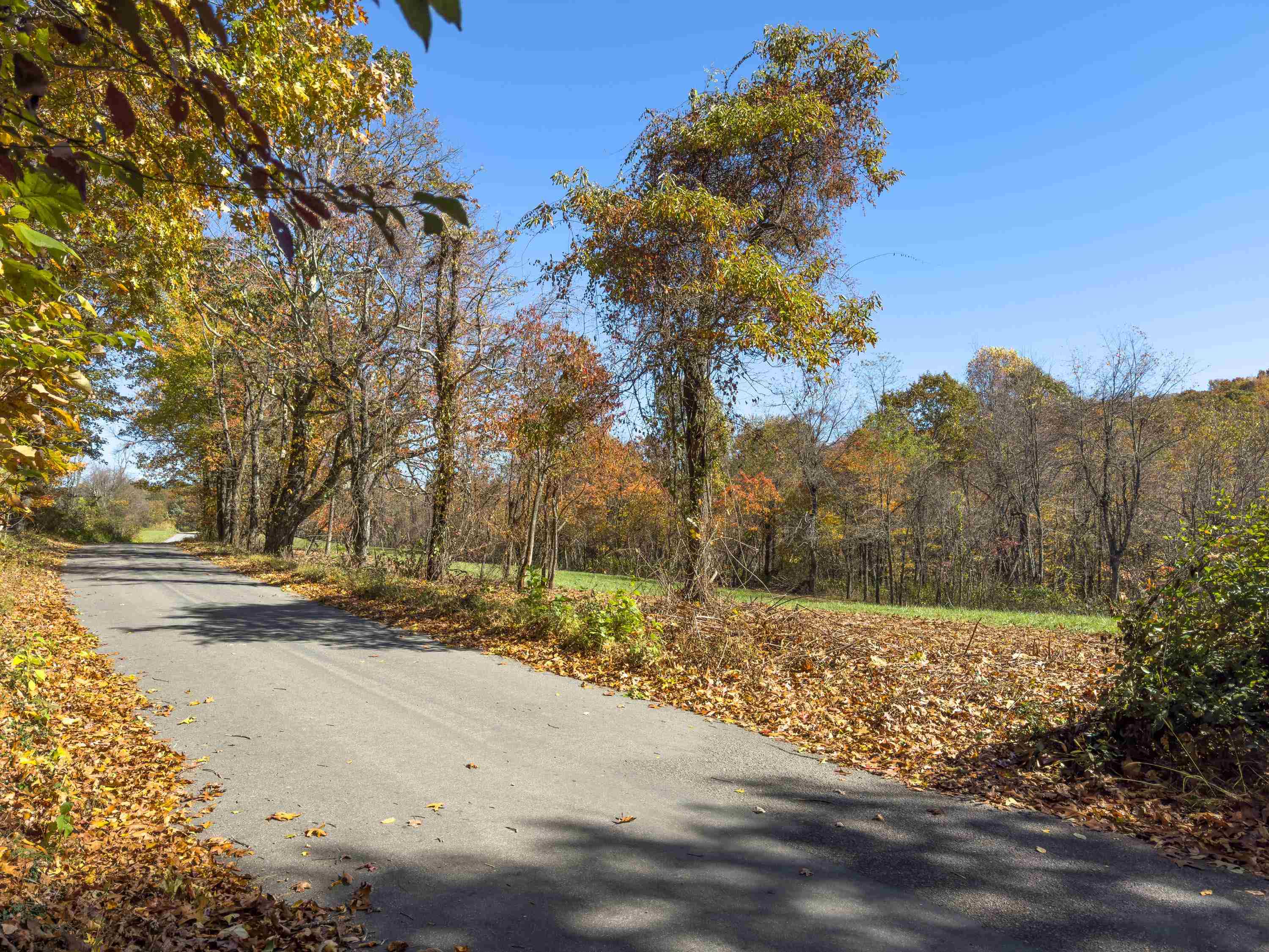 00 Belcher Mountain Road Meadows Of Dan VA 24120