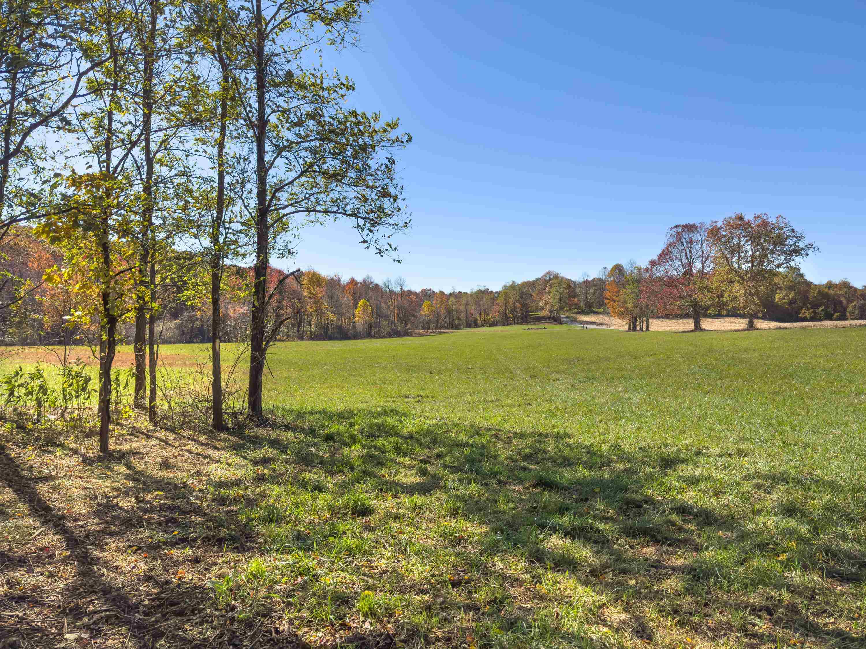 00 Belcher Mountain Road Meadows Of Dan VA 24120