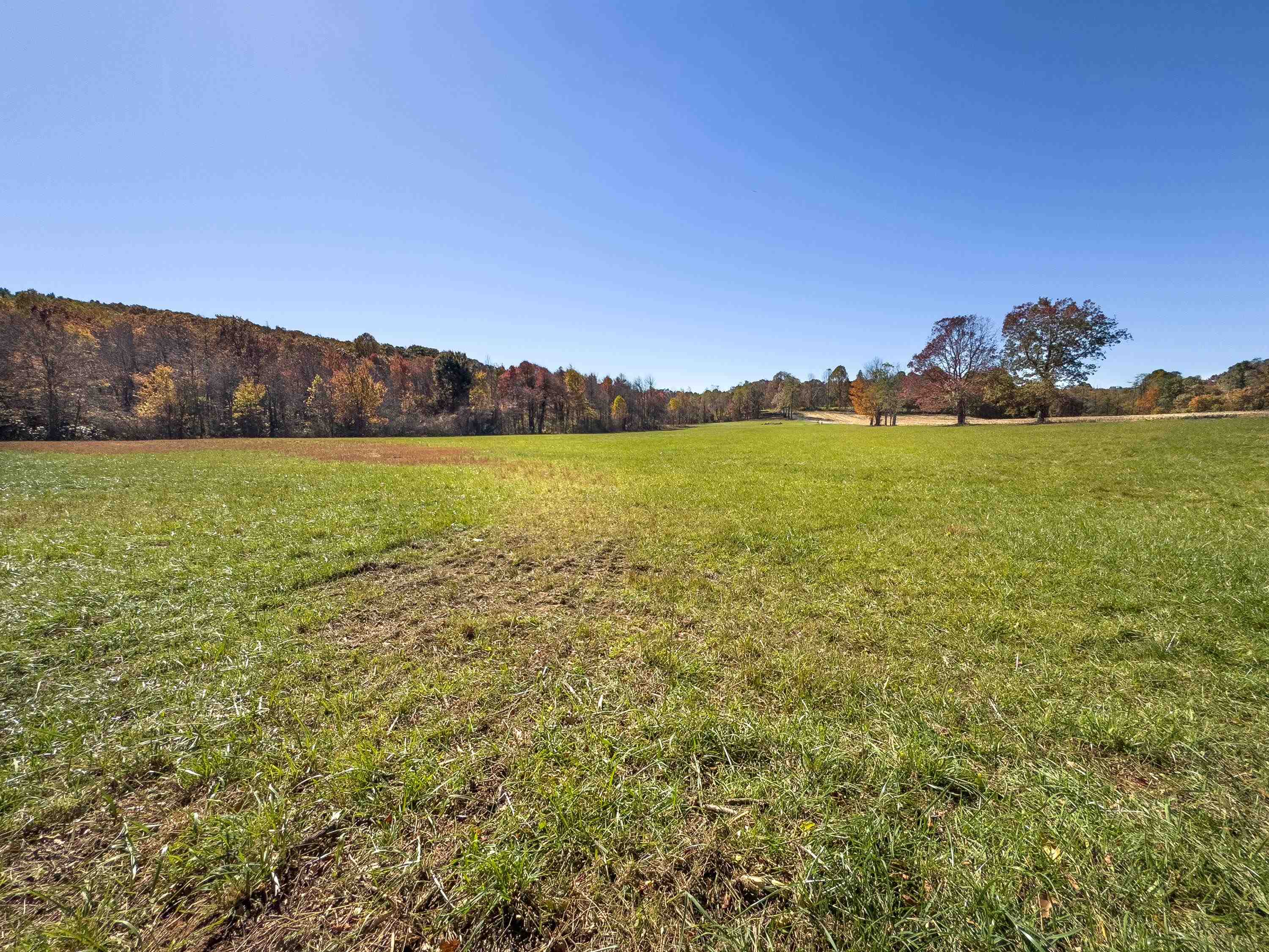 00 Belcher Mountain Road Meadows Of Dan VA 24120