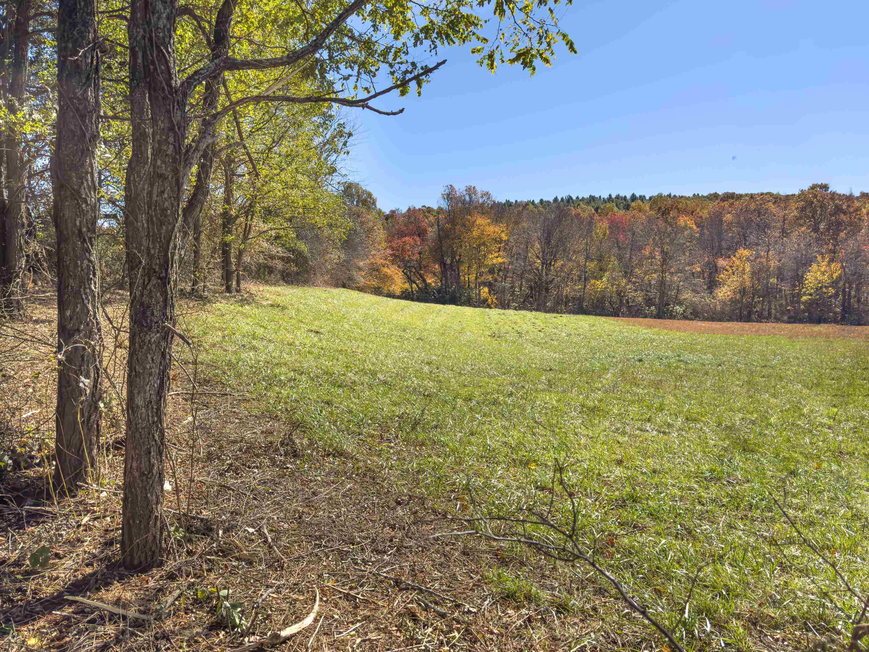 00 Belcher Mountain Road Meadows Of Dan VA 24120