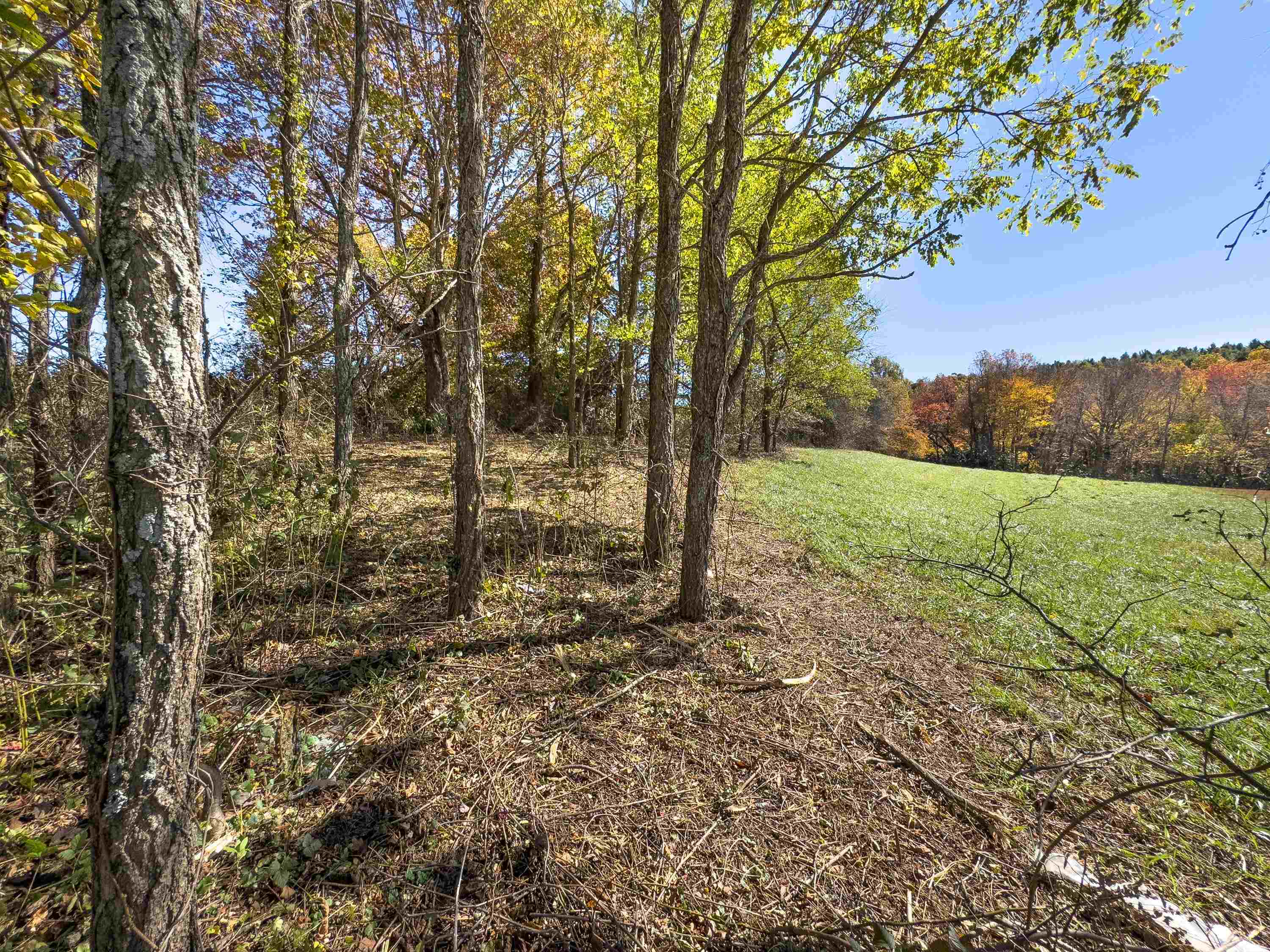 00 Belcher Mountain Road Meadows Of Dan VA 24120