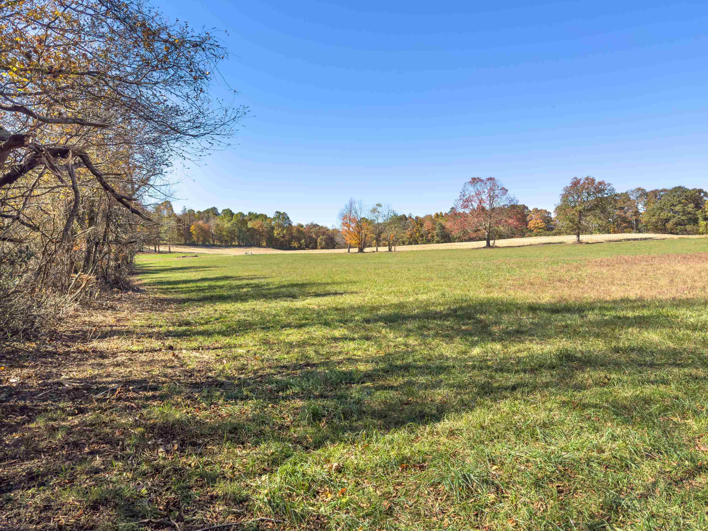 00 Belcher Mountain Road Meadows Of Dan VA 24120
