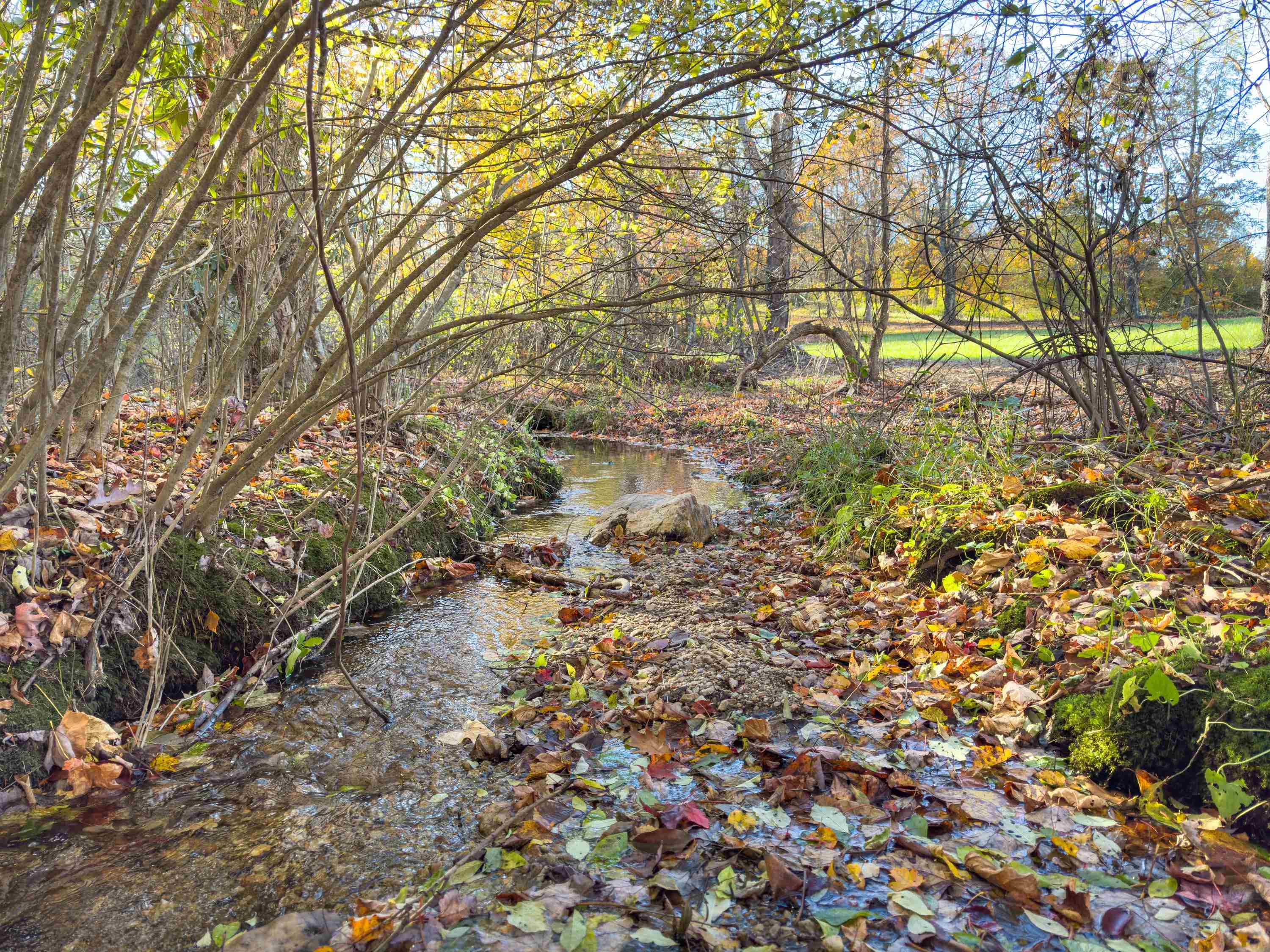 00 Belcher Mountain Road Meadows Of Dan VA 24120