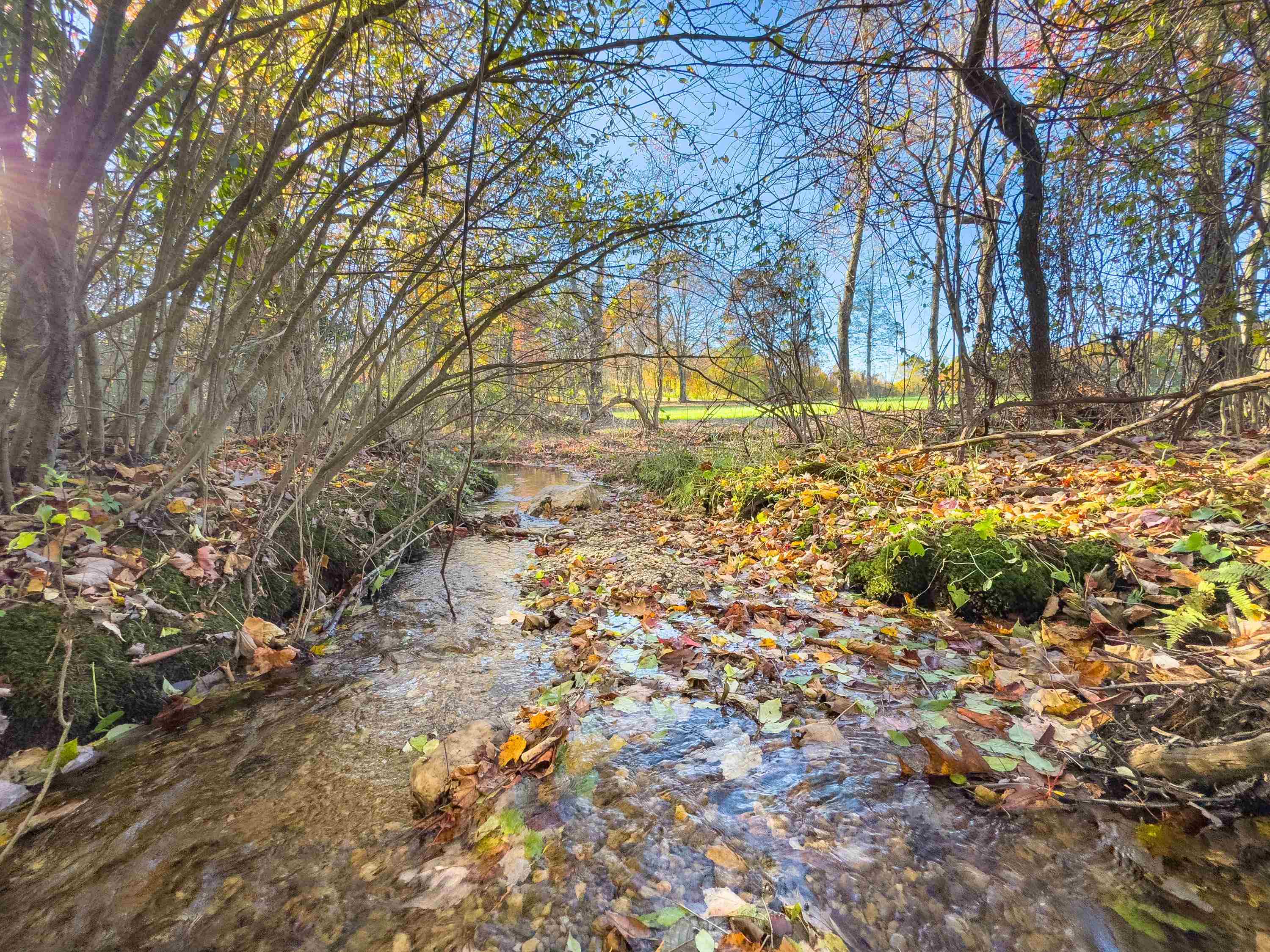 00 Belcher Mountain Road Meadows Of Dan VA 24120