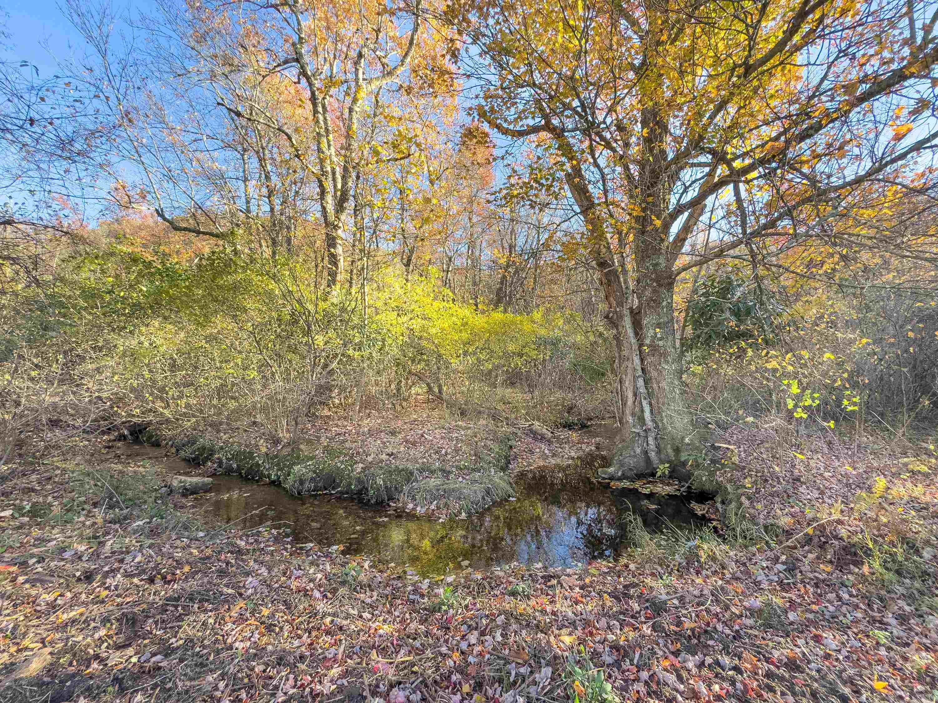 00 Belcher Mountain Road Meadows Of Dan VA 24120