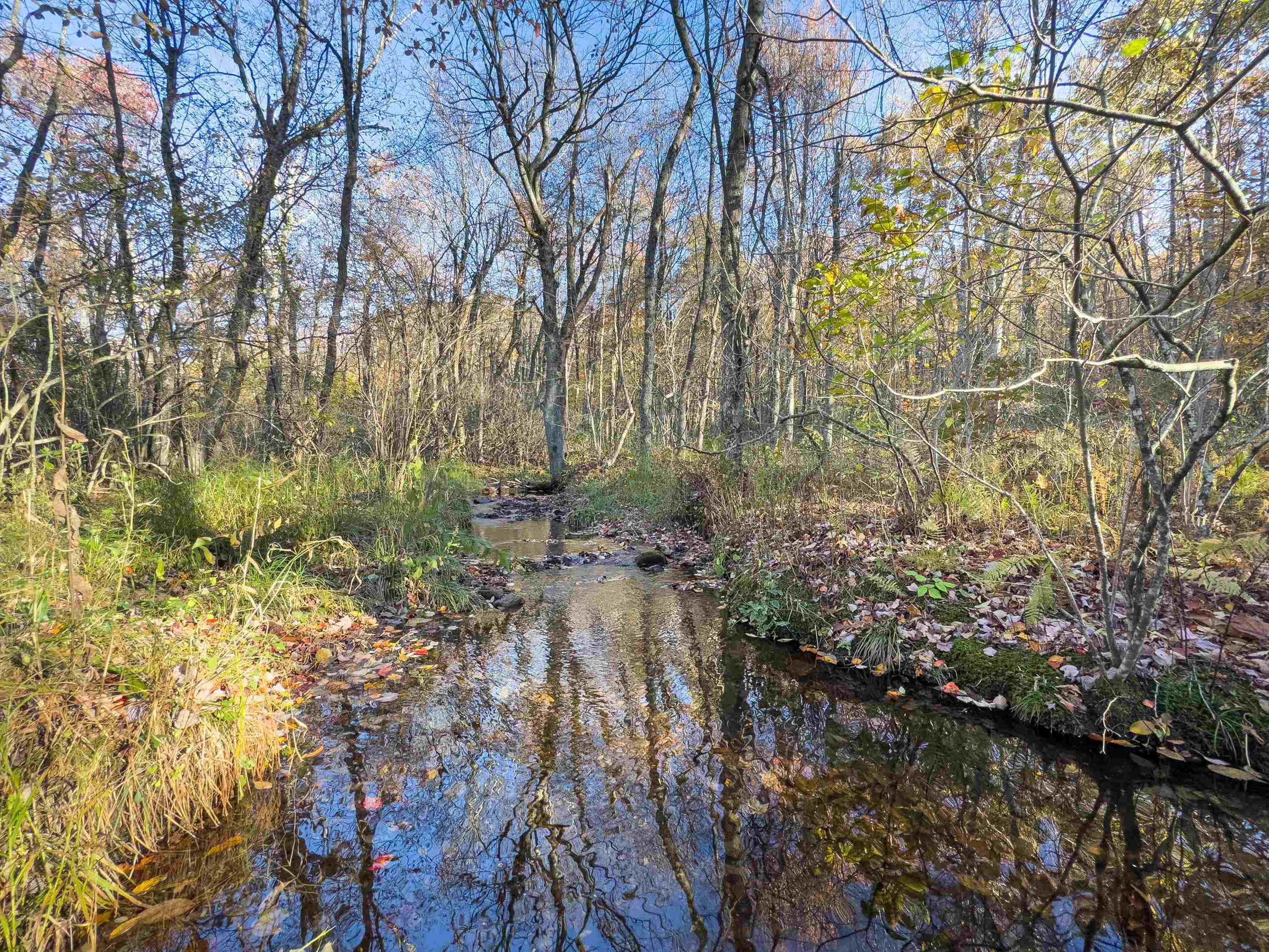 00 Belcher Mountain Road Meadows Of Dan VA 24120