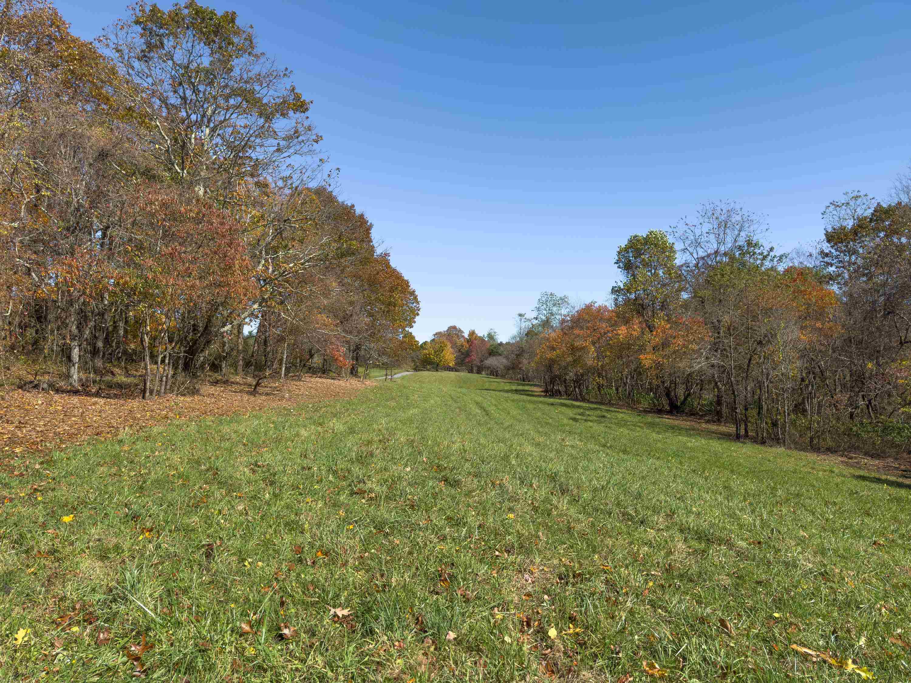 00 Belcher Mountain Road Meadows Of Dan VA 24120