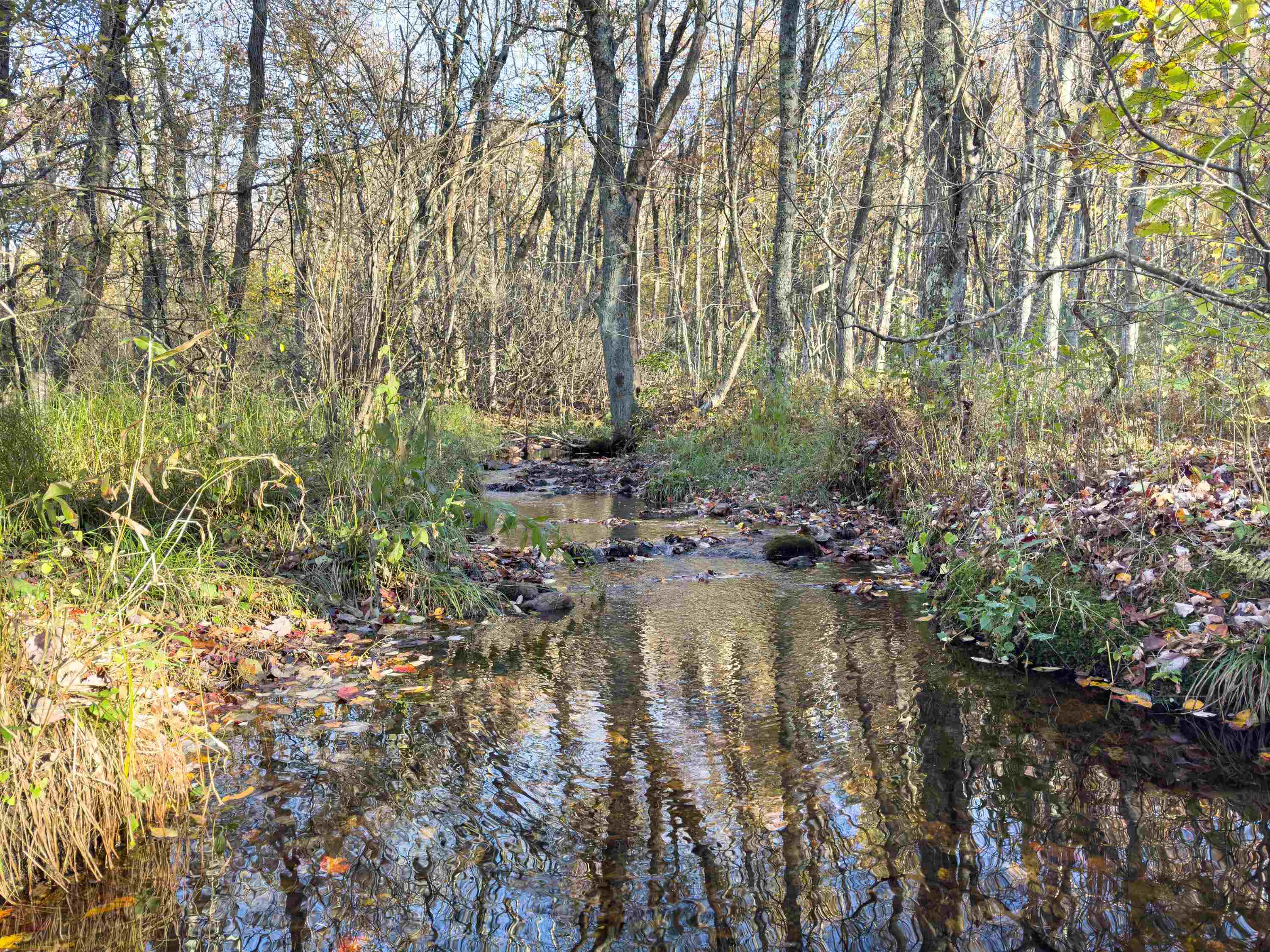 00 Belcher Mountain Road Meadows Of Dan VA 24120