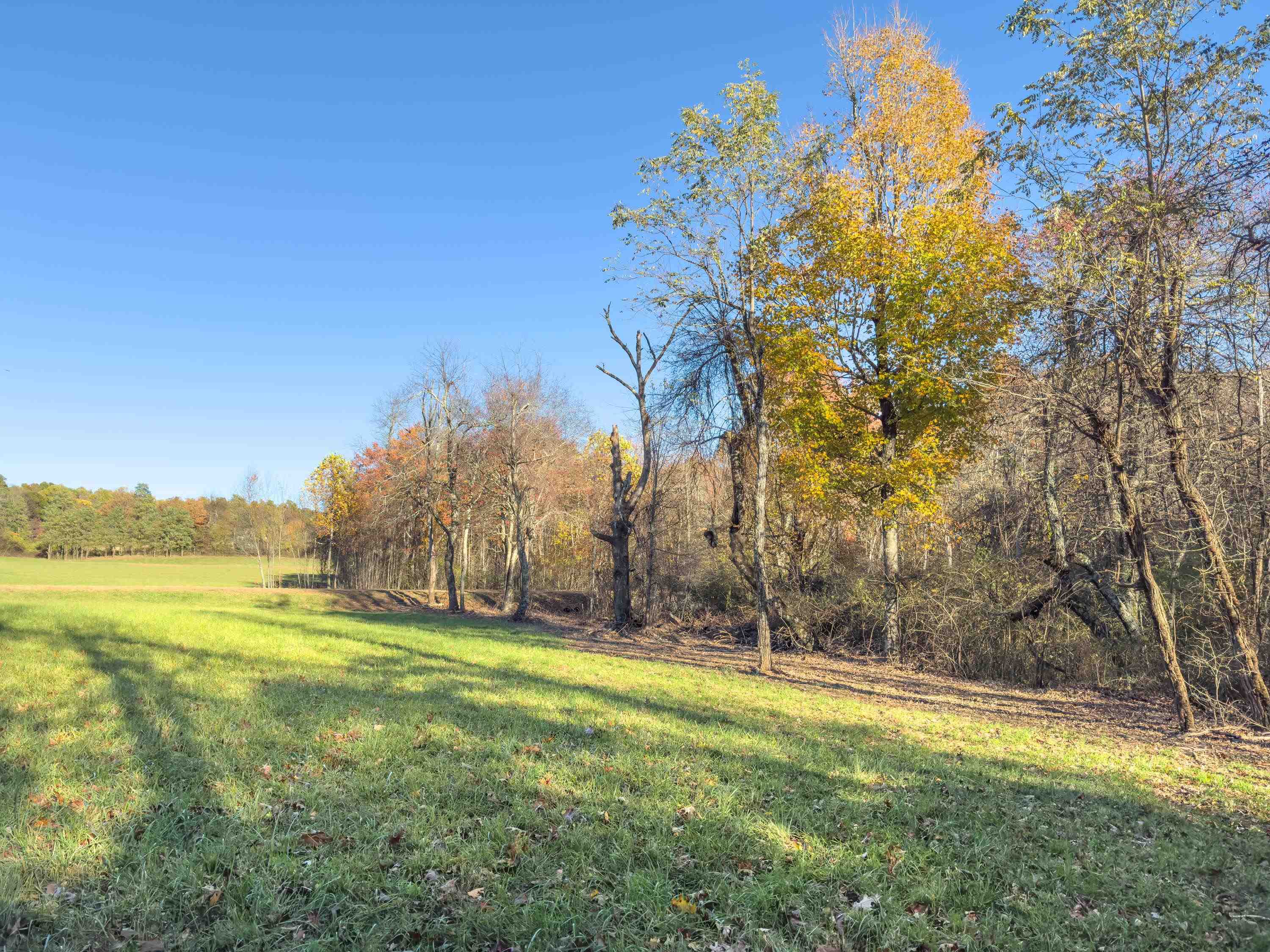 00 Belcher Mountain Road Meadows Of Dan VA 24120