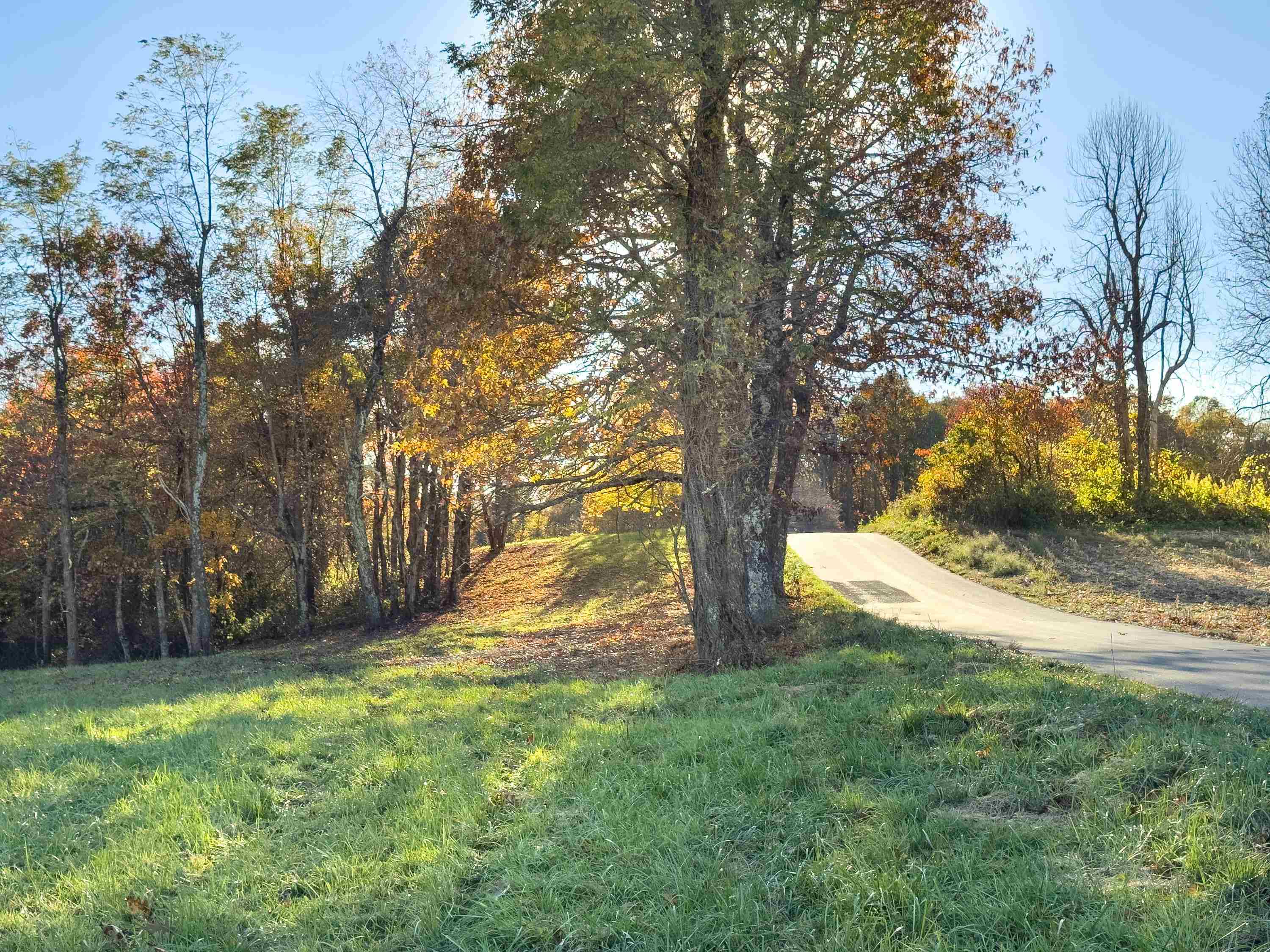 00 Belcher Mountain Road Meadows Of Dan VA 24120