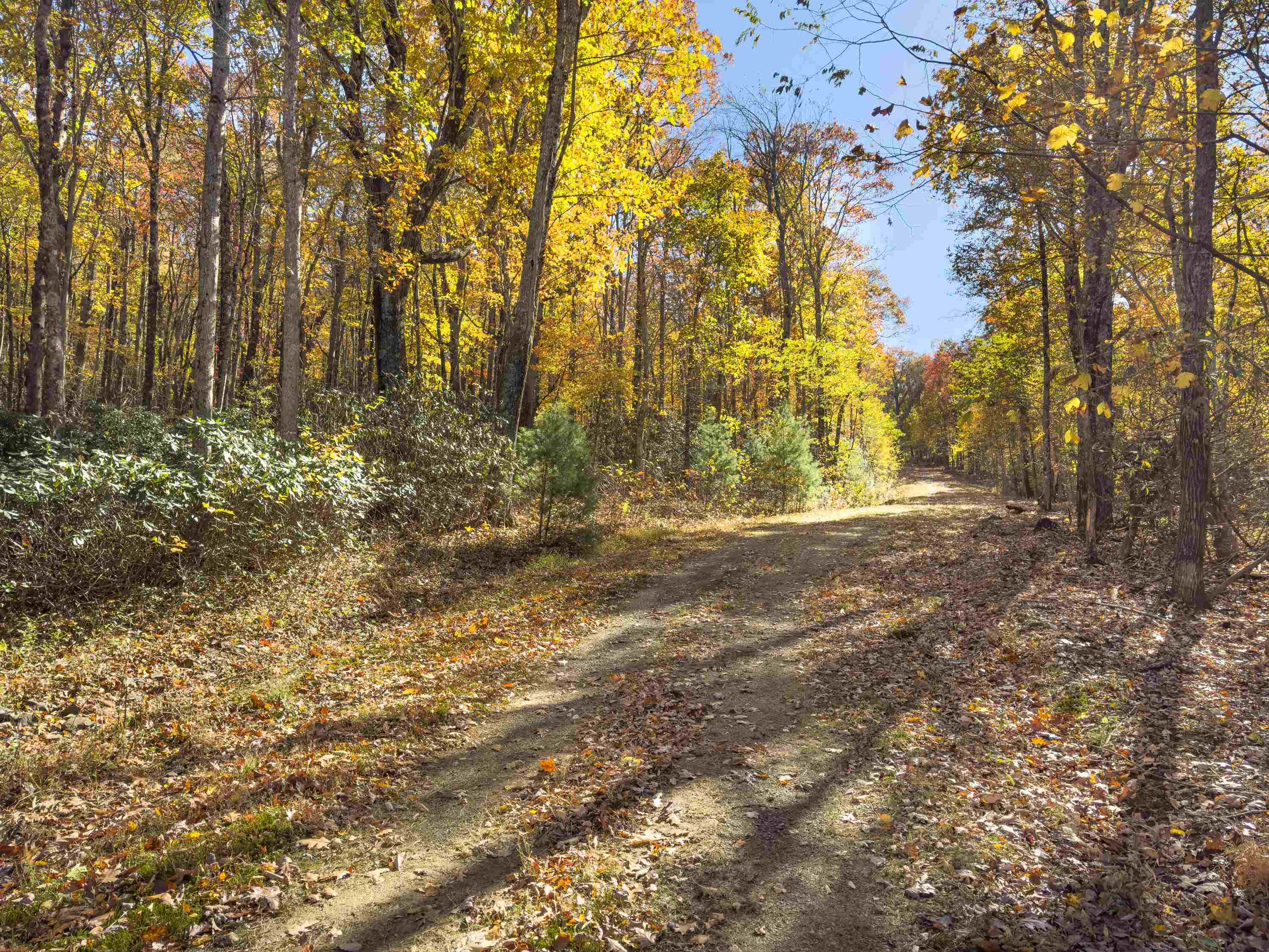 00 Belcher Mountain Road Meadows Of Dan VA 24120