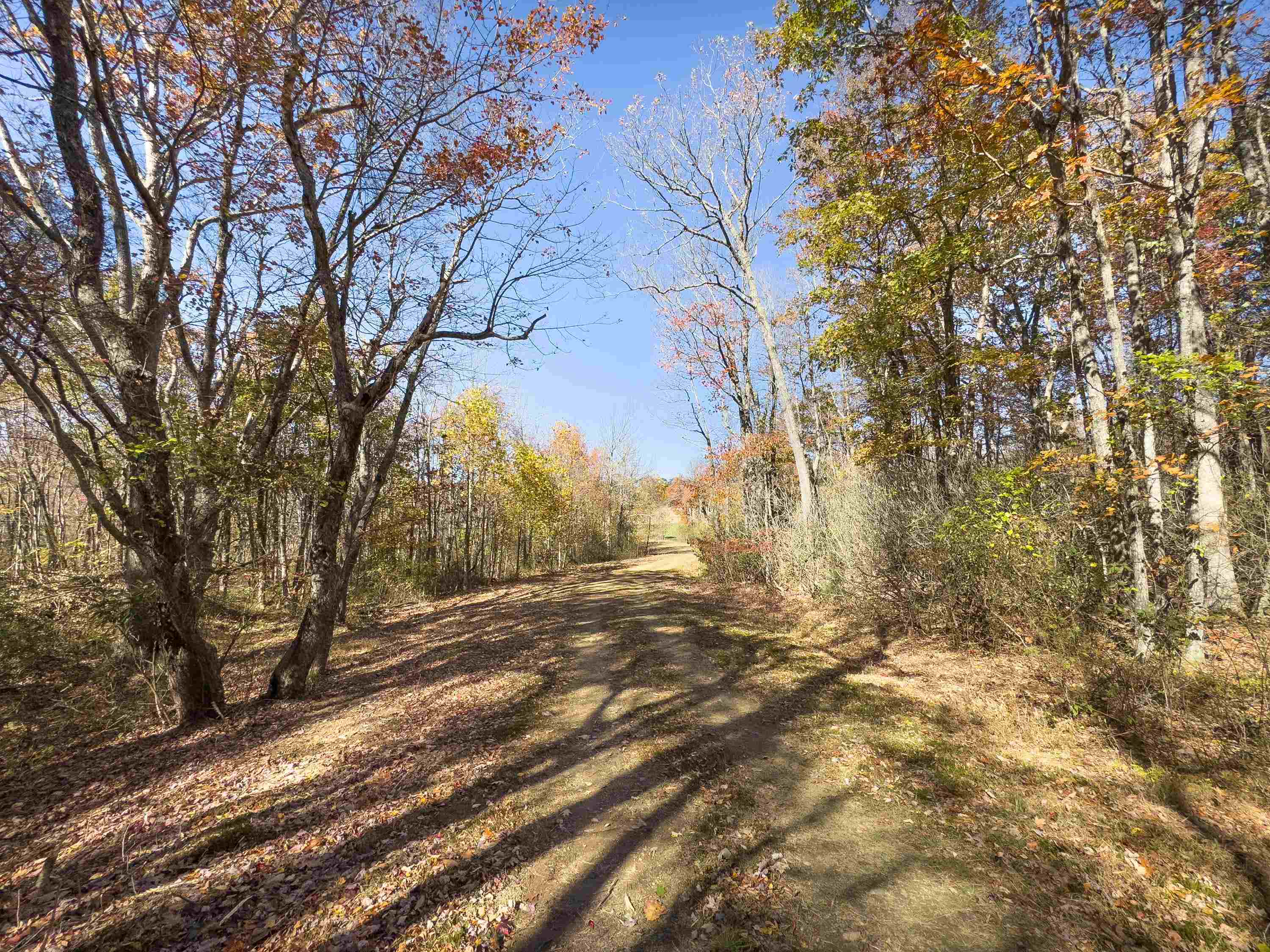 00 Belcher Mountain Road Meadows Of Dan VA 24120